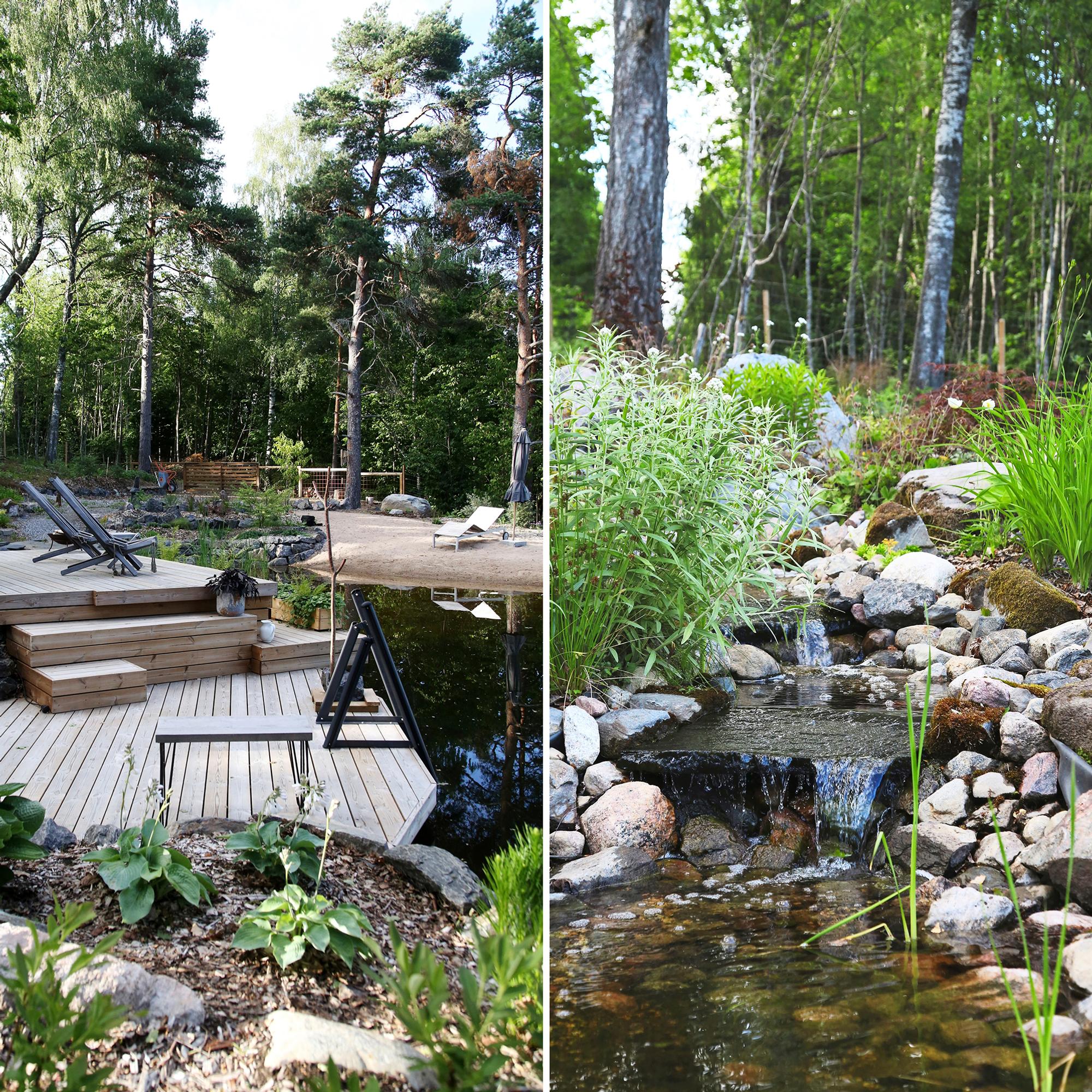 “Thanks to our pond, I don’t need a summer cottage”: Finnish Ritva takes a daily dip in the backyard pond