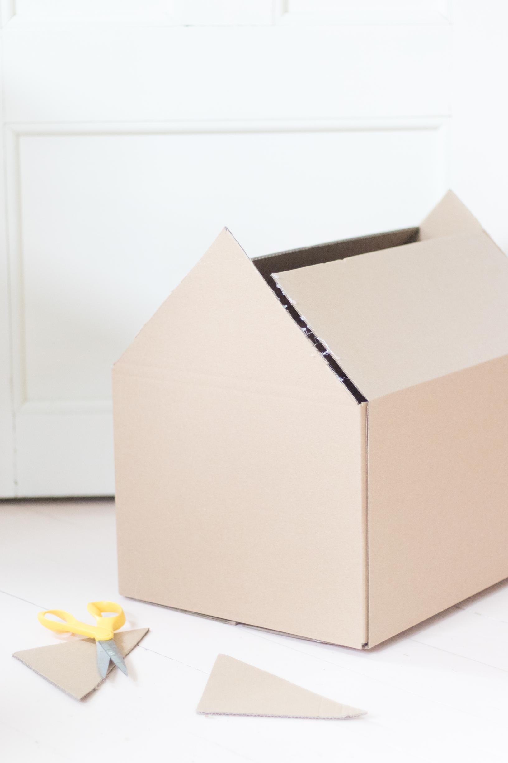 A cardboard box used for the pet’s gingerbread house