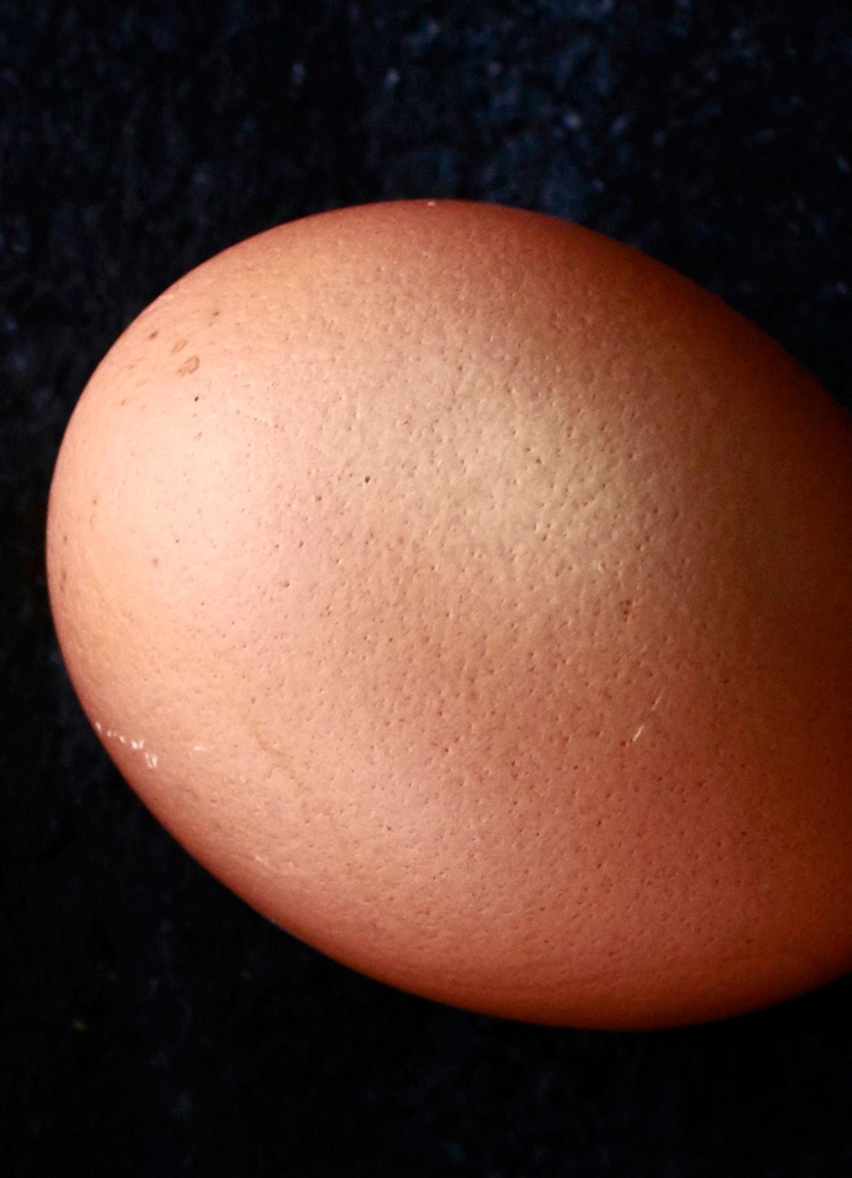 Egg dyed with onion