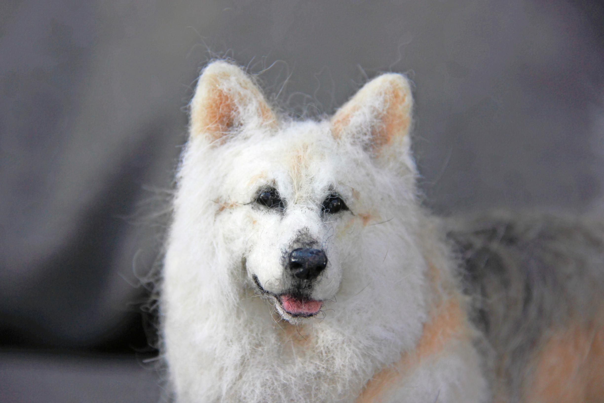 A close-up of a felted dog's head.
