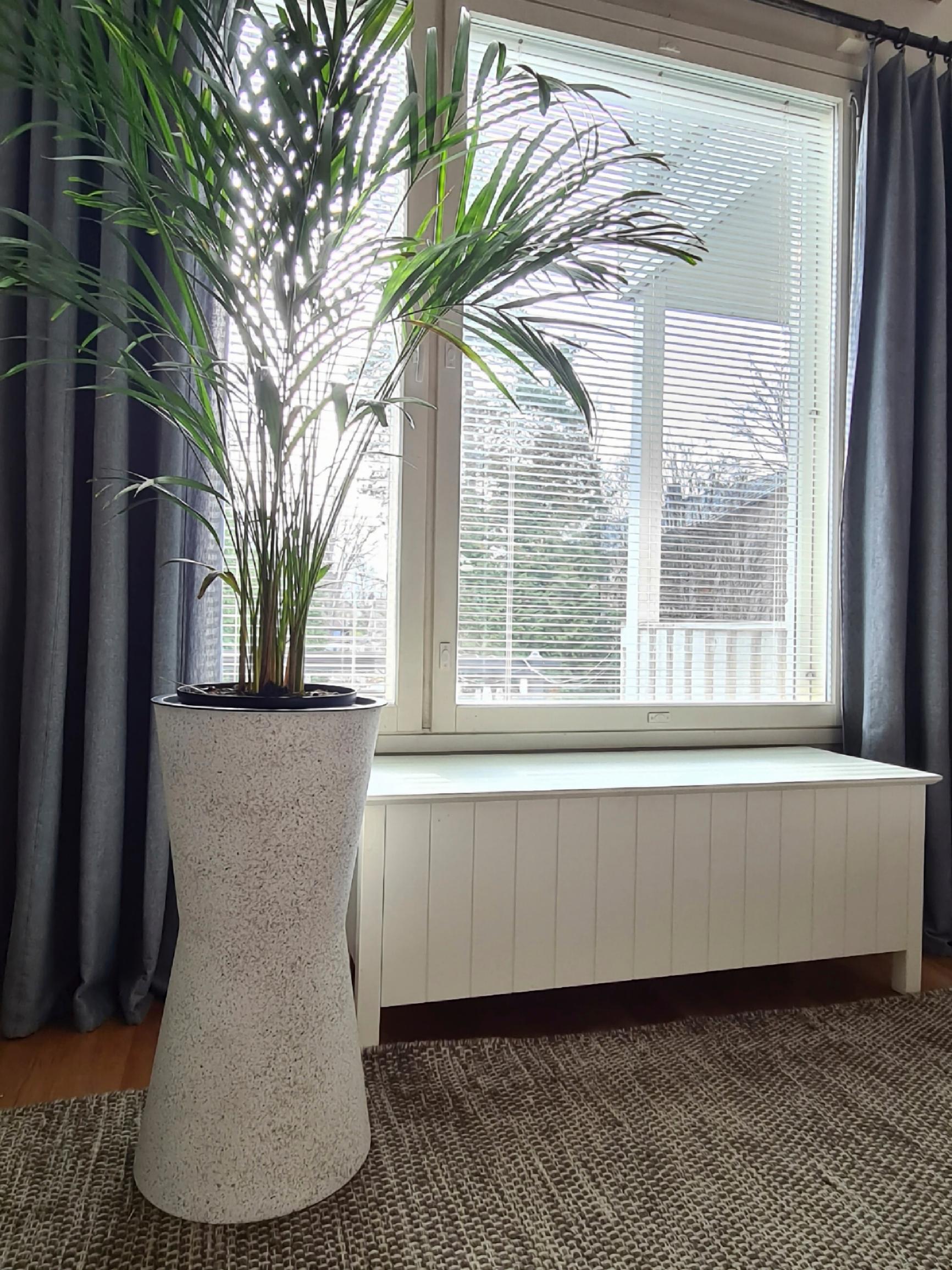 The finished tall, two-part planter in use.
