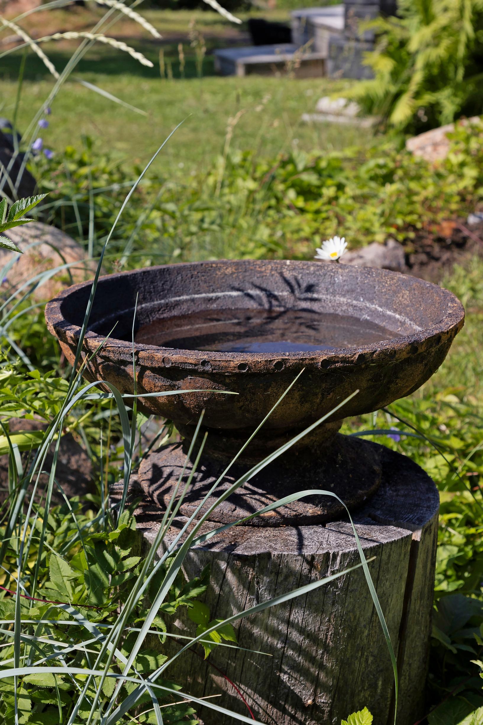 A ceramic bird drinking bowl made by Marita for the cottage on Selkäsaari