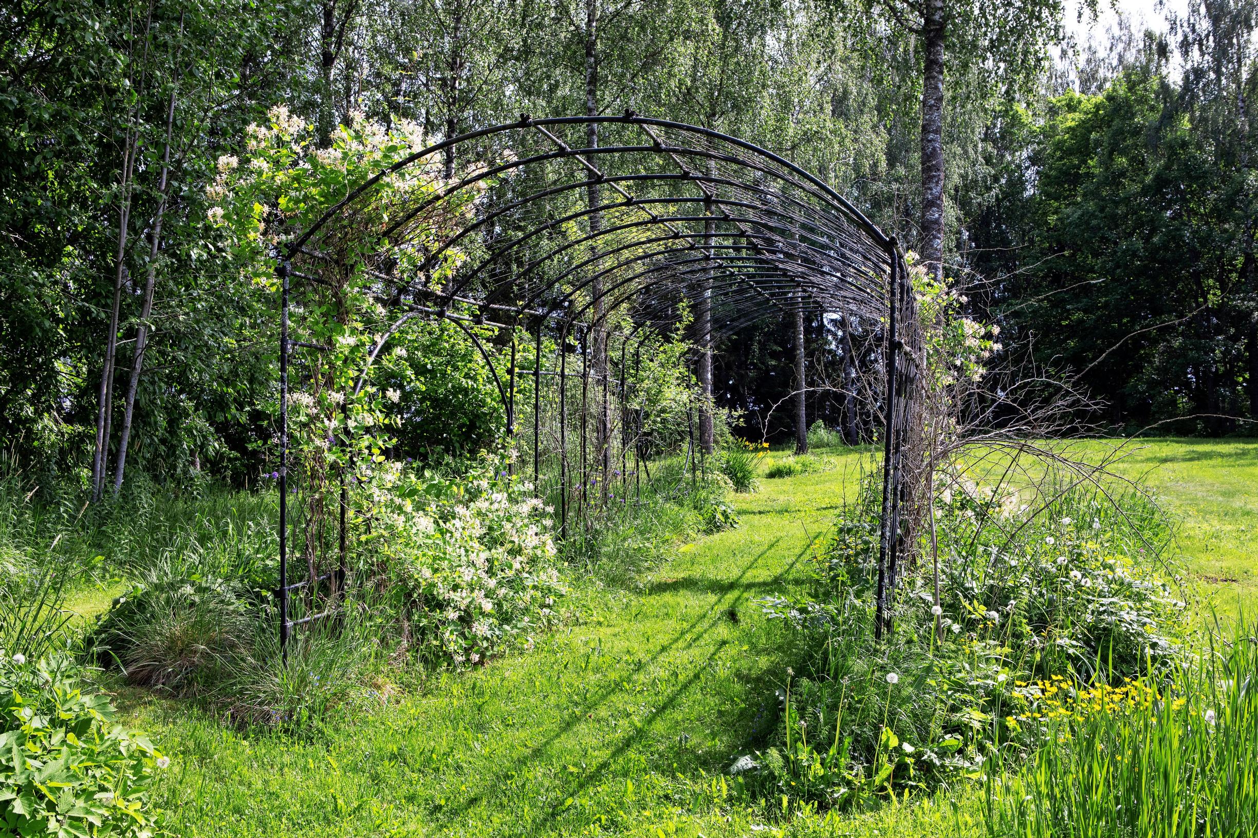 Lawn path and arch tunnel on the grounds of Mustio Manor