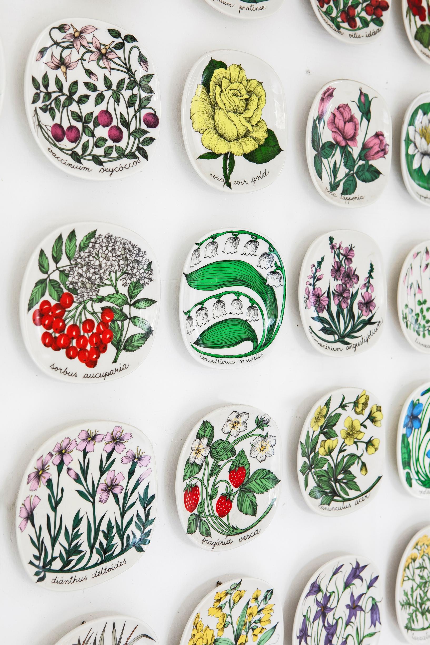 Esteri Tomula’s Botanica and Rosa decorative plates