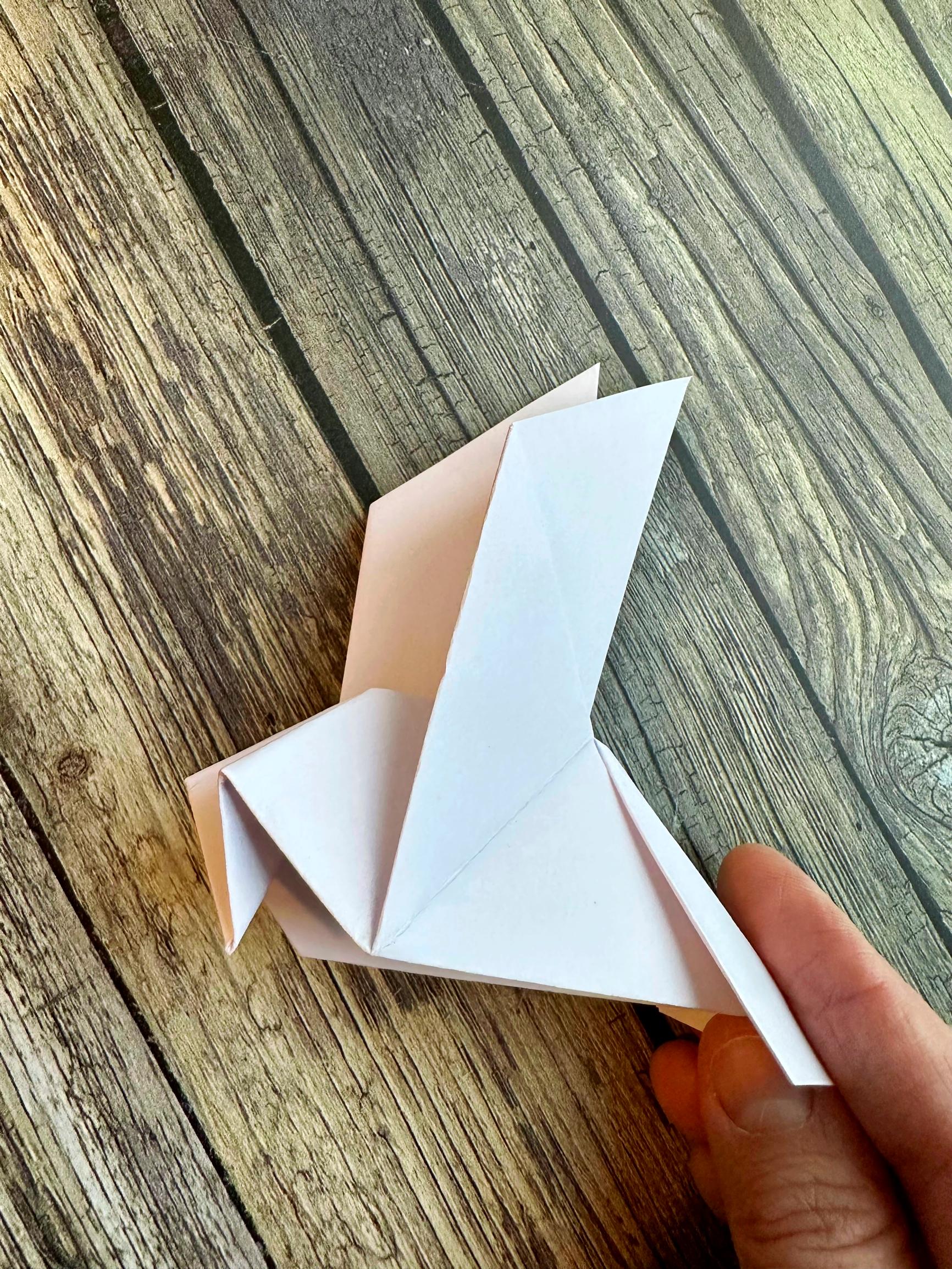 Shaping the beak