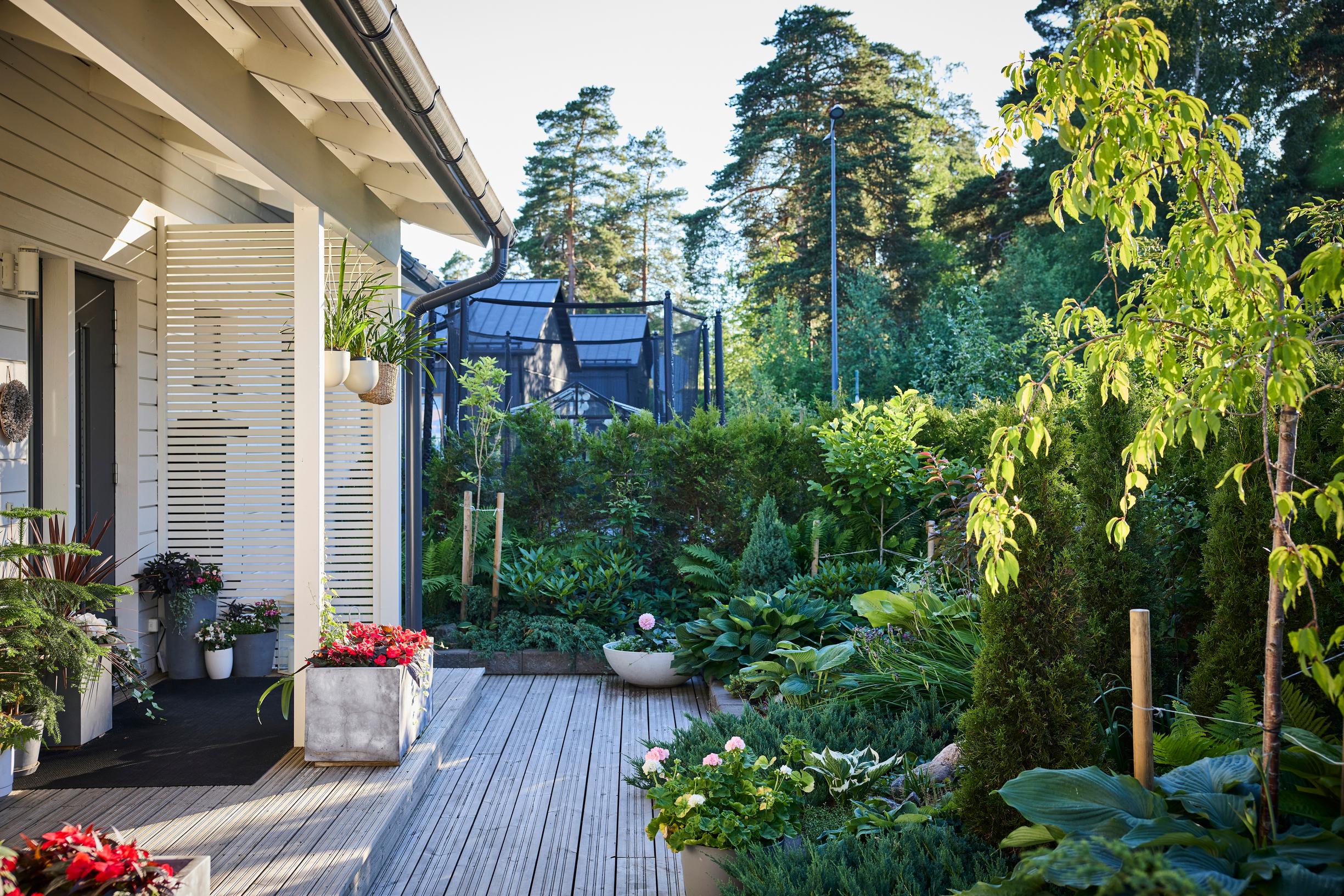 500-square-meter yard, terrace