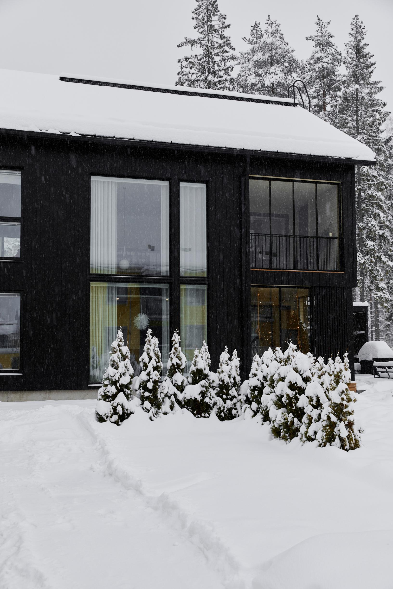 black single-family house, snow, and yard spruces