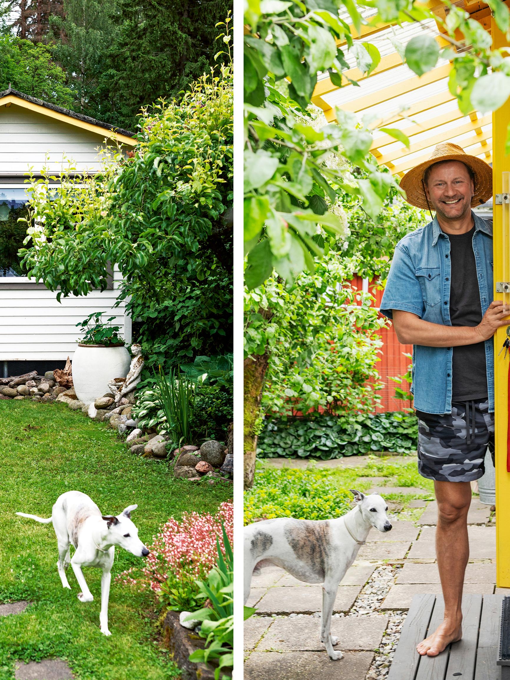 Finnish Eurovision commentator Mikko Silvennoinen rides a tram to his tiny cottage—take a peek inside!