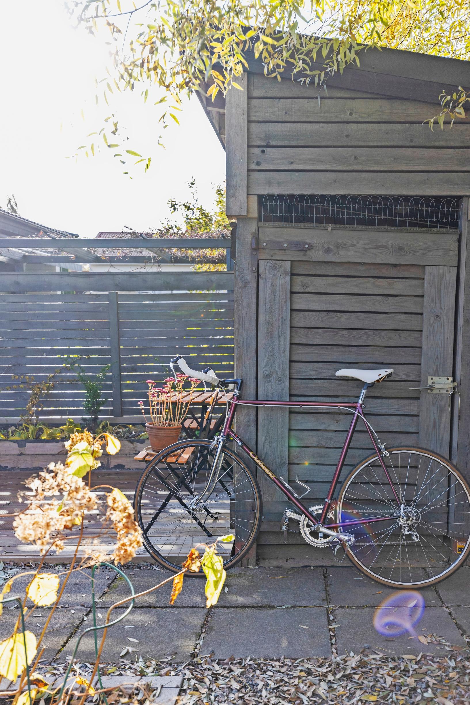 A bicycle leaning against the wall