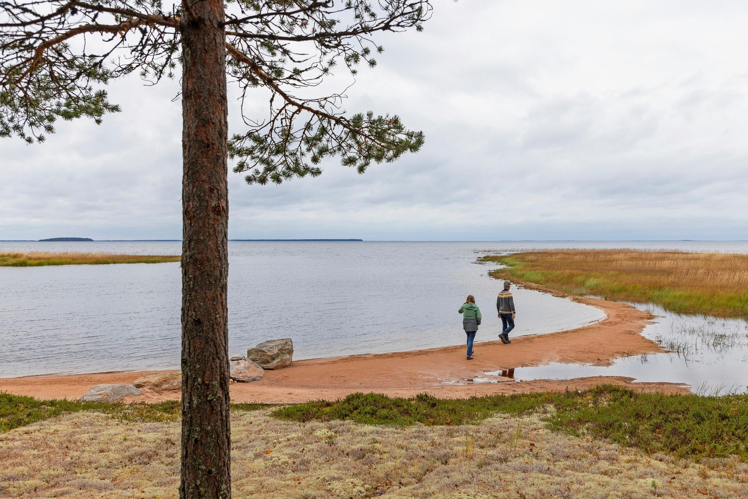 The couple on a sandy beach with a lake view and a large pine