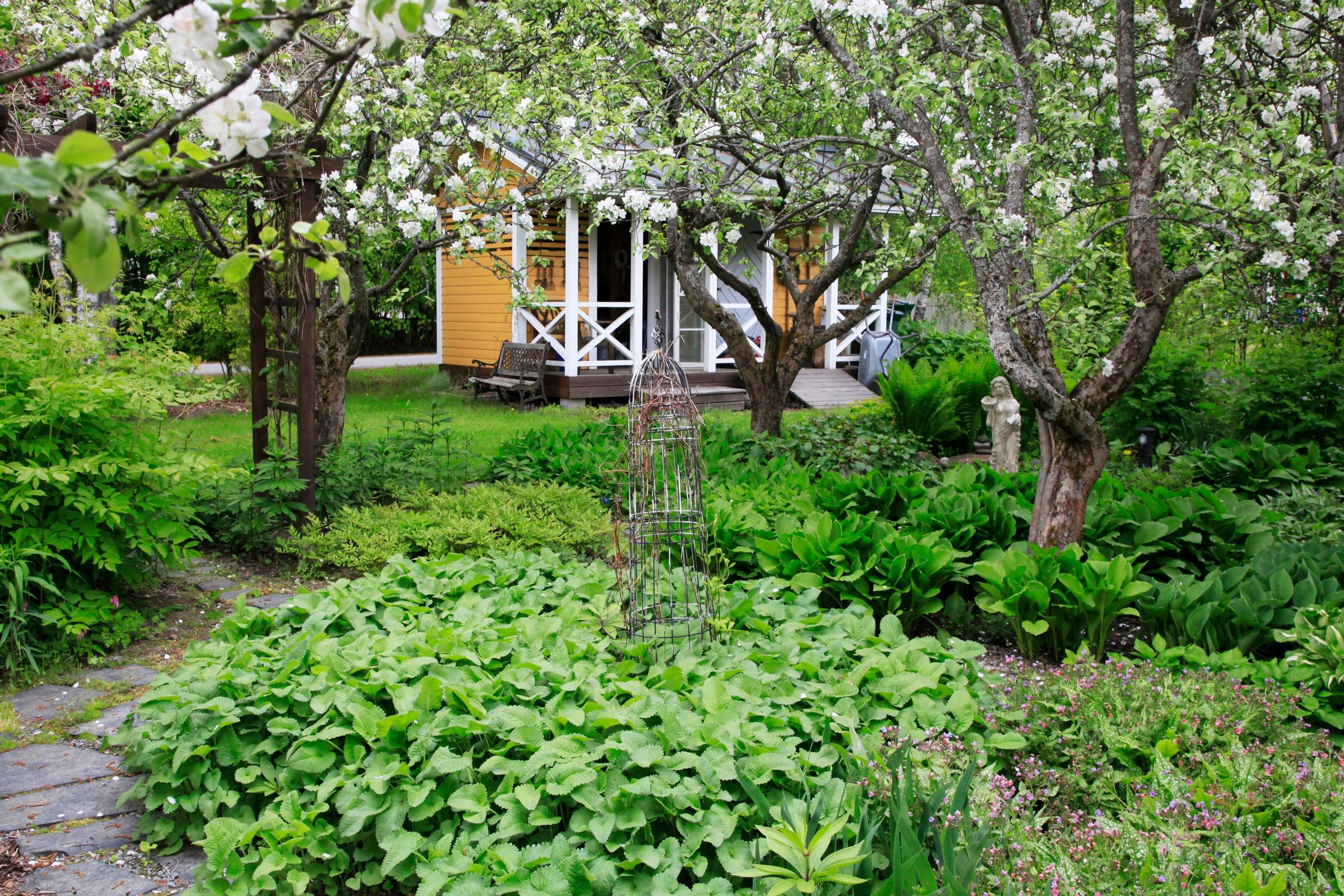 Dense, lush perennial plantings keep couch grass and other weeds away.