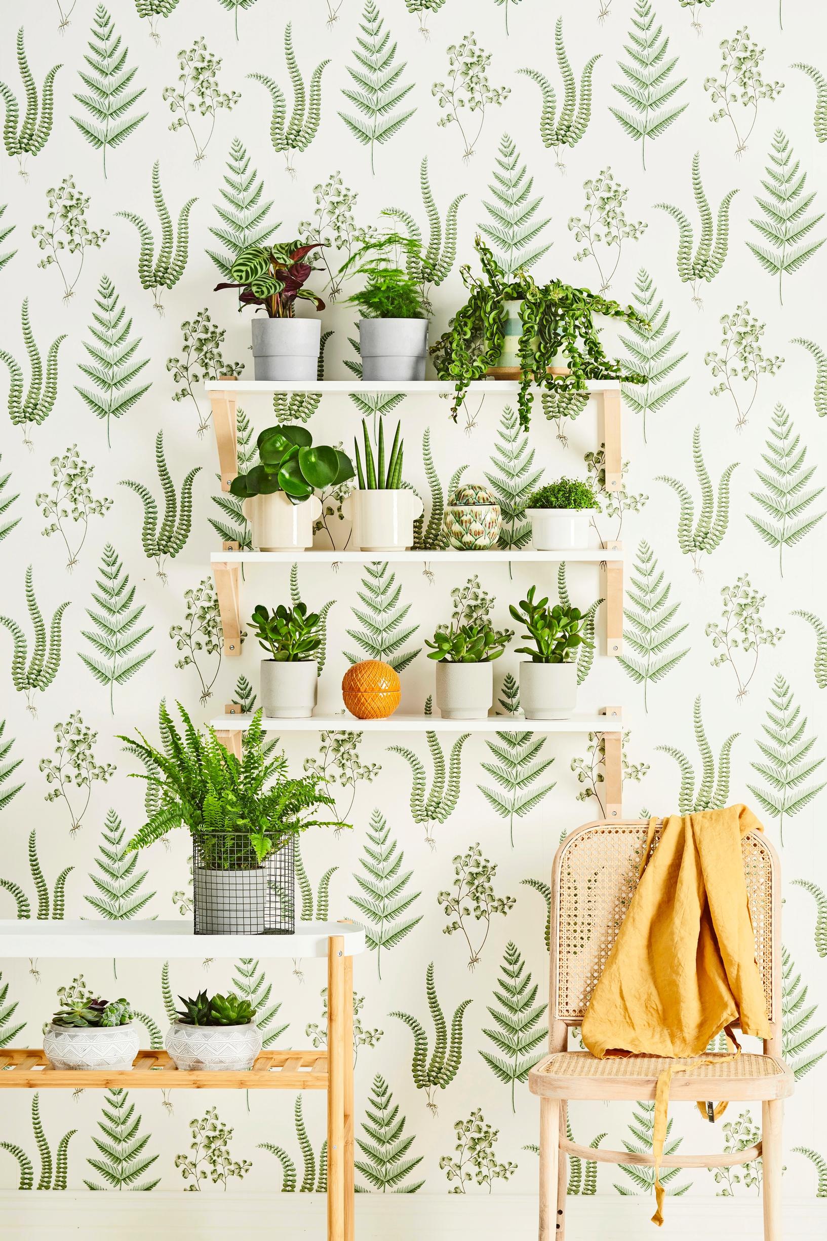 Boråstapeter’s Herba wallpaper’s lush leaf pattern behind an open shelf