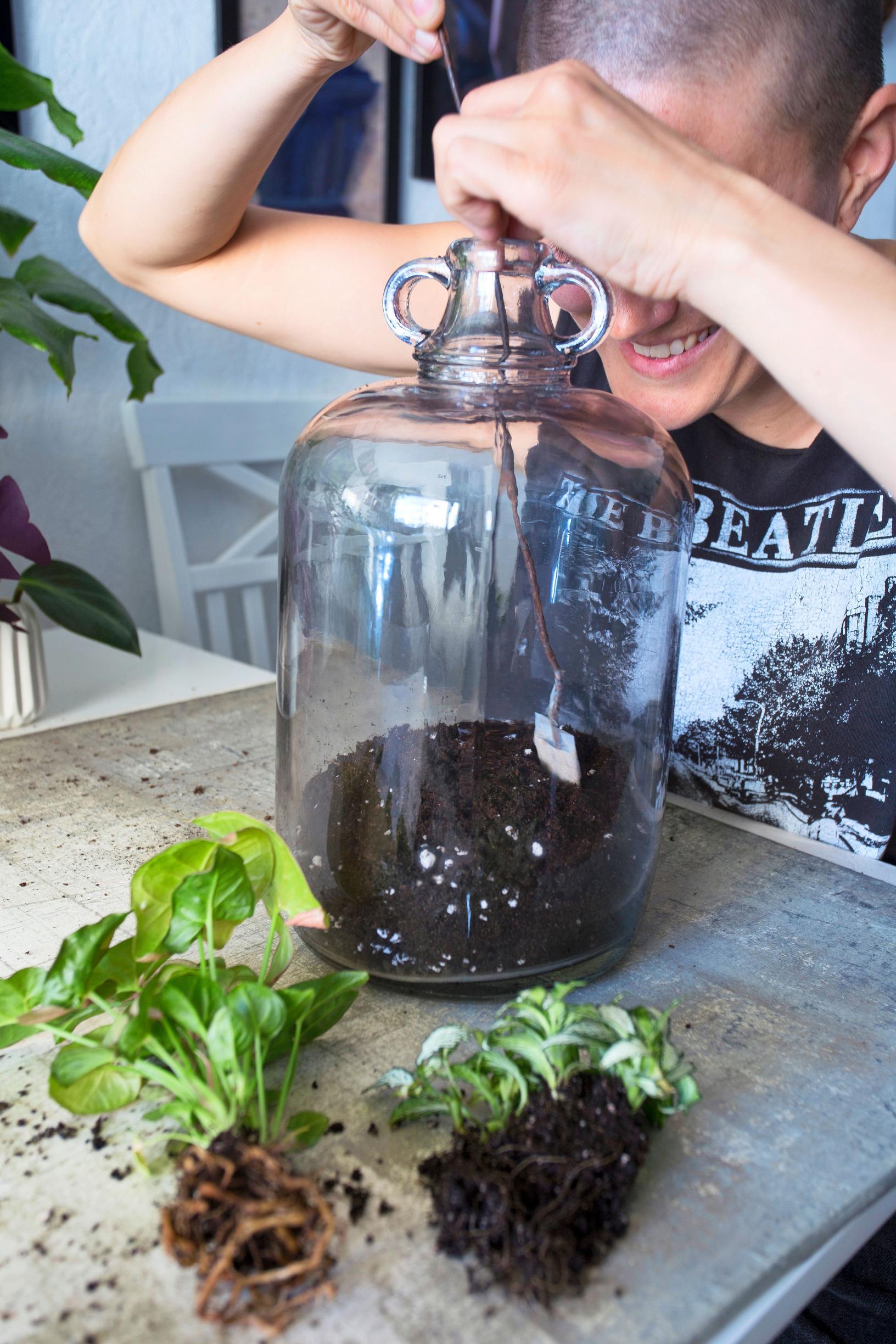 plant bottle