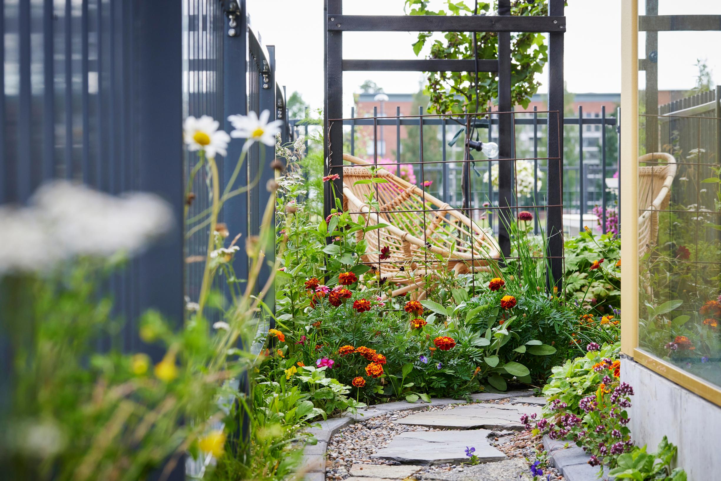 A path in Hannele’s garden.