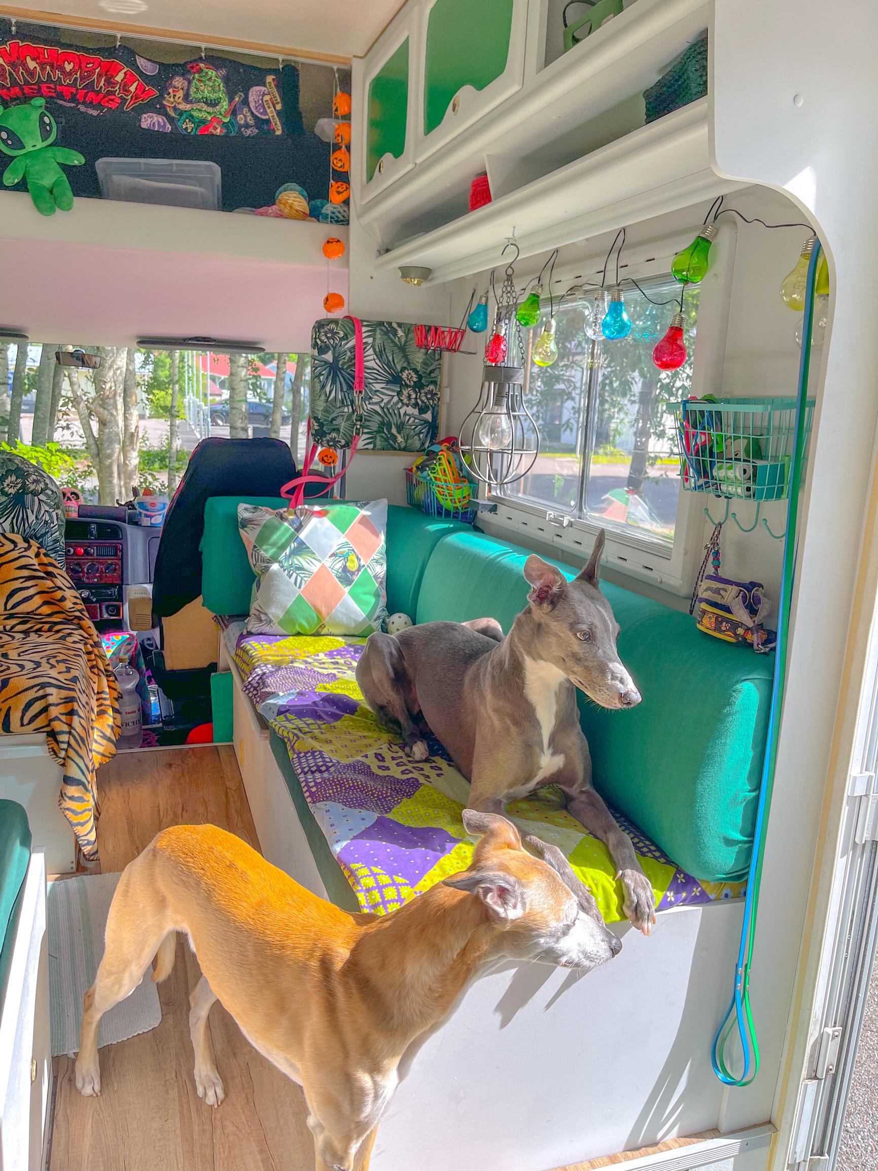 Two of Mira’s dogs in the camper.