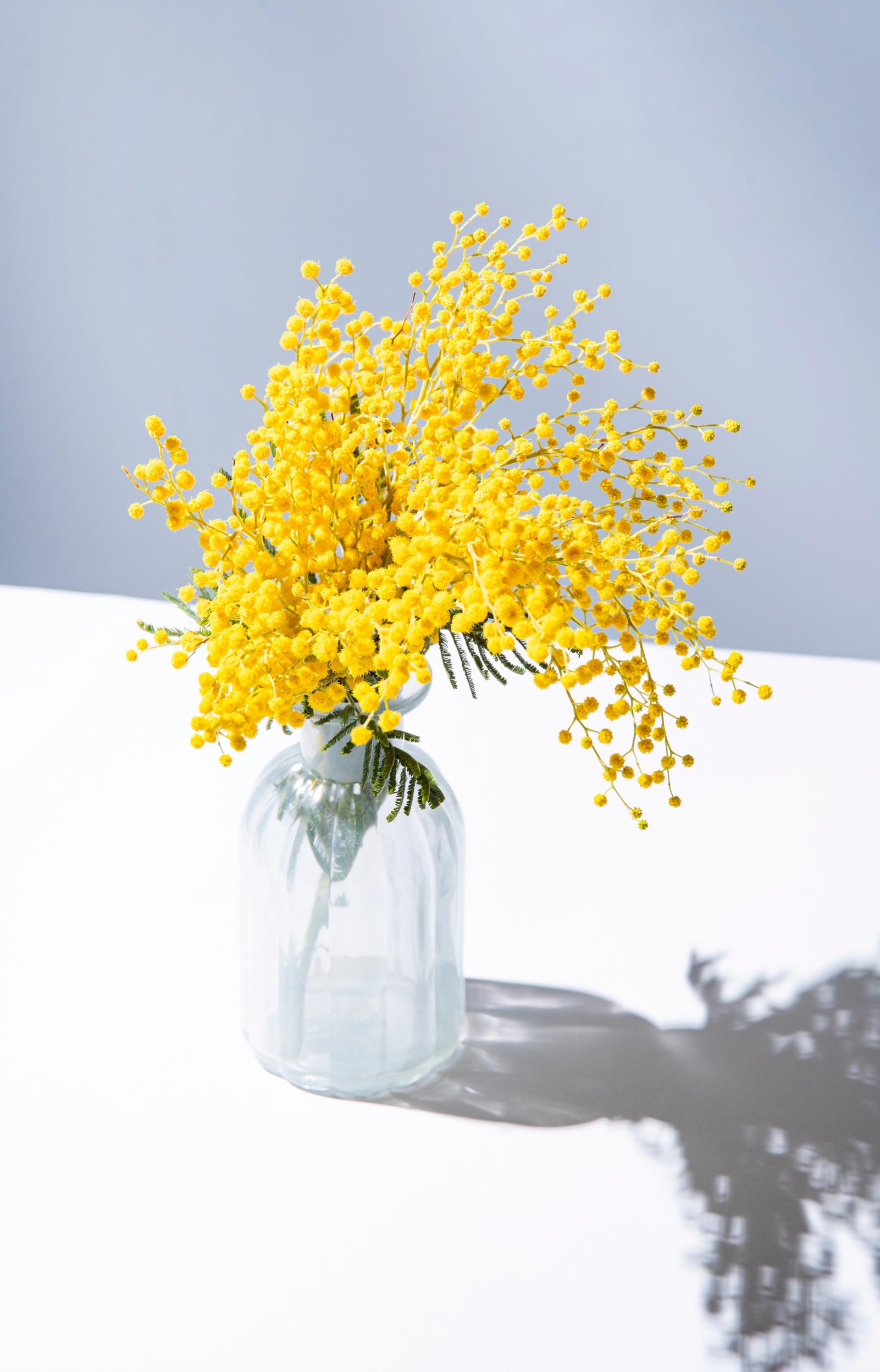 Flowers in a glass bottle