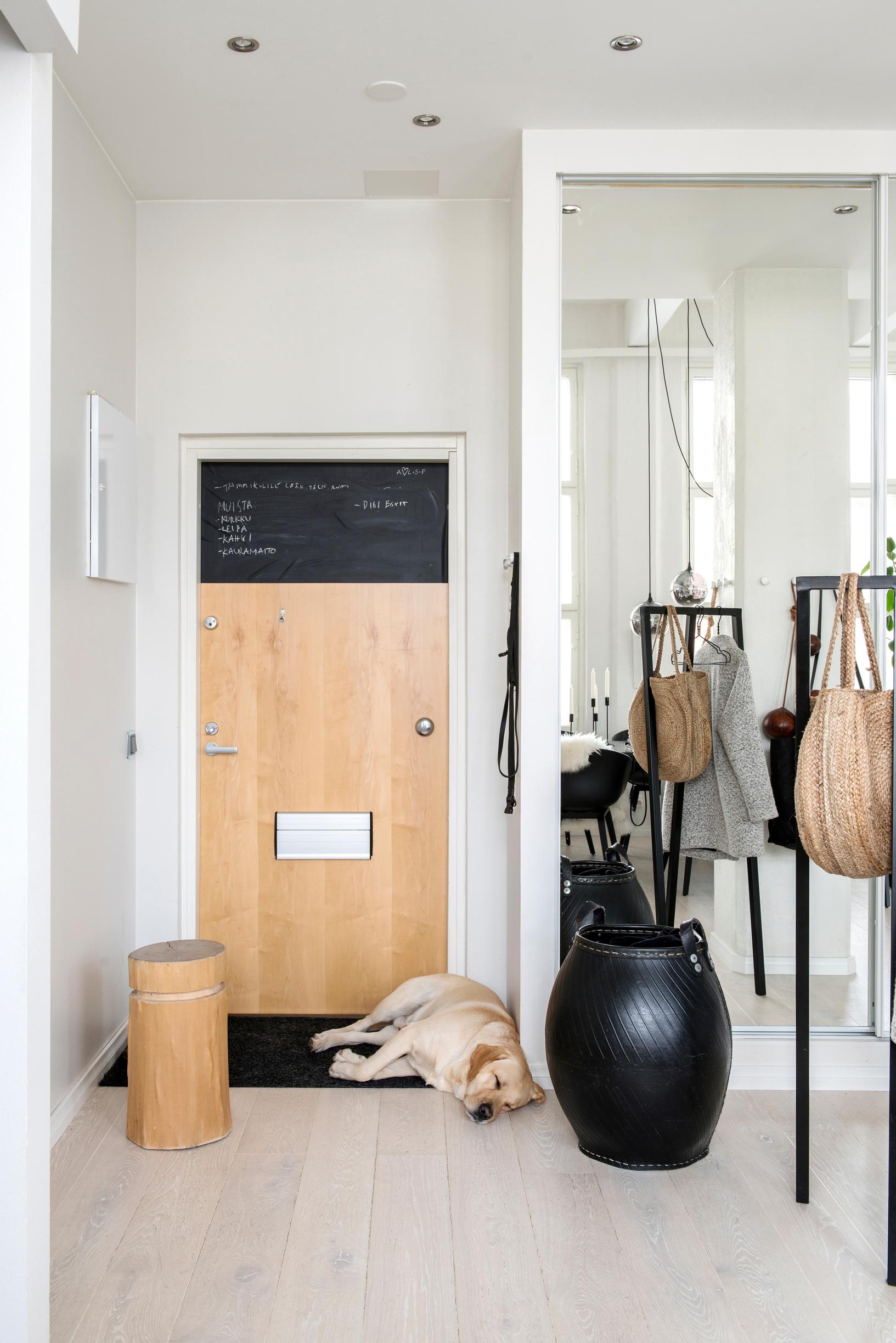 A dog lying on the light-colored floor in the entryway, next to the front door
