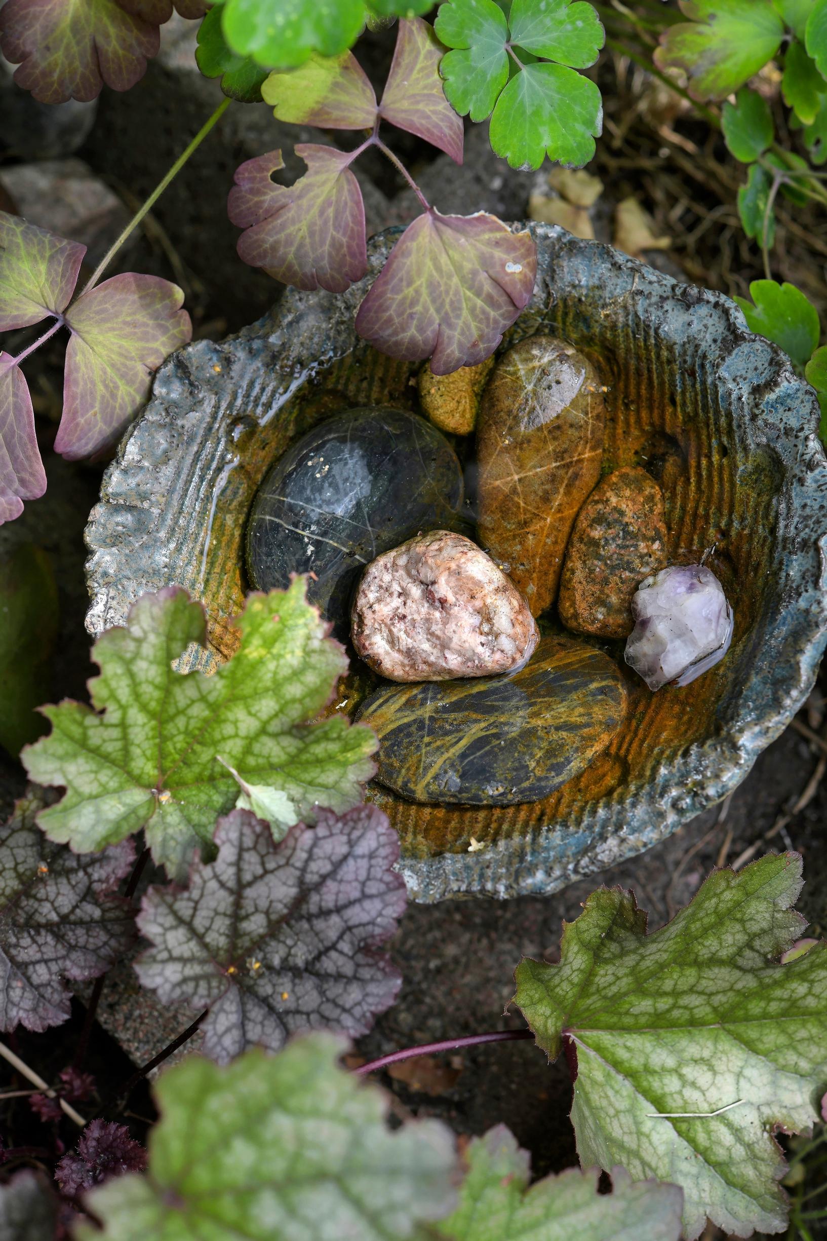Garden with insects: Insect drinking spot.