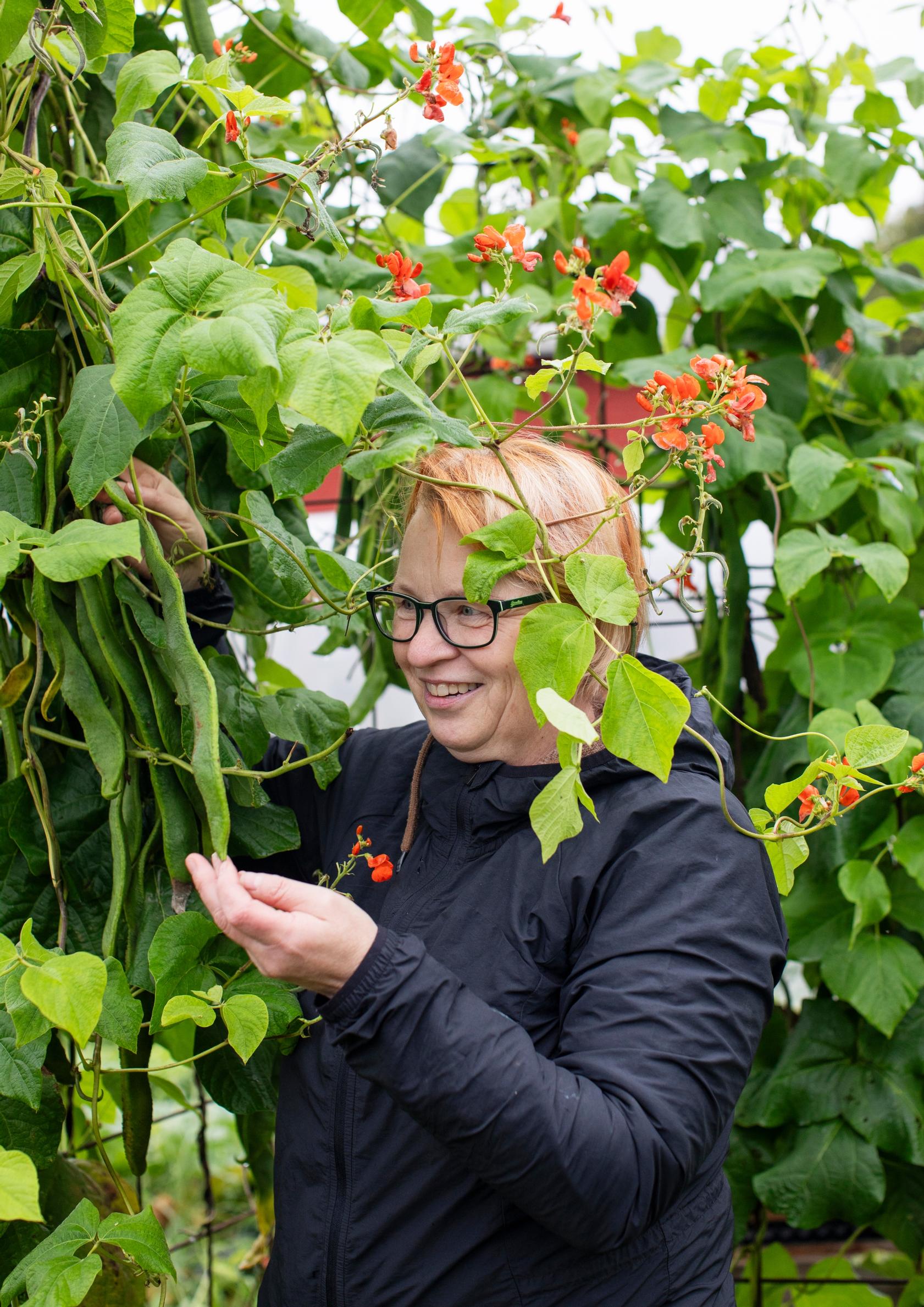 For runner beans, length matters more than weight.