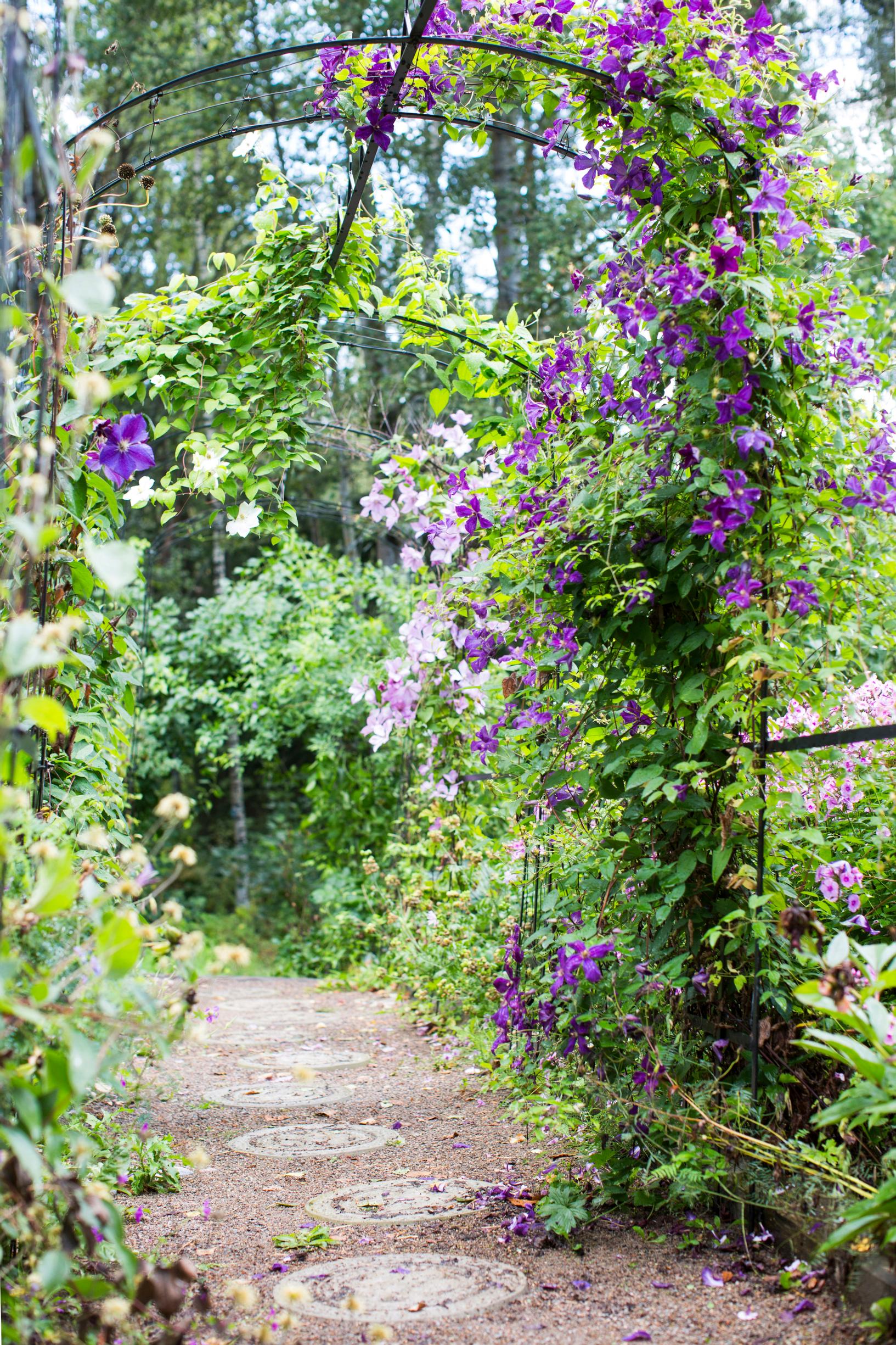 Support for climbing plants