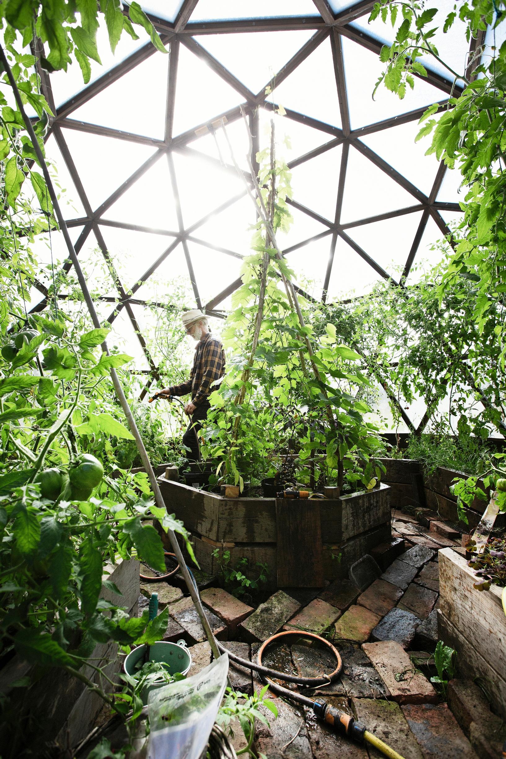 geodesic greenhouse  in a permaculture garden