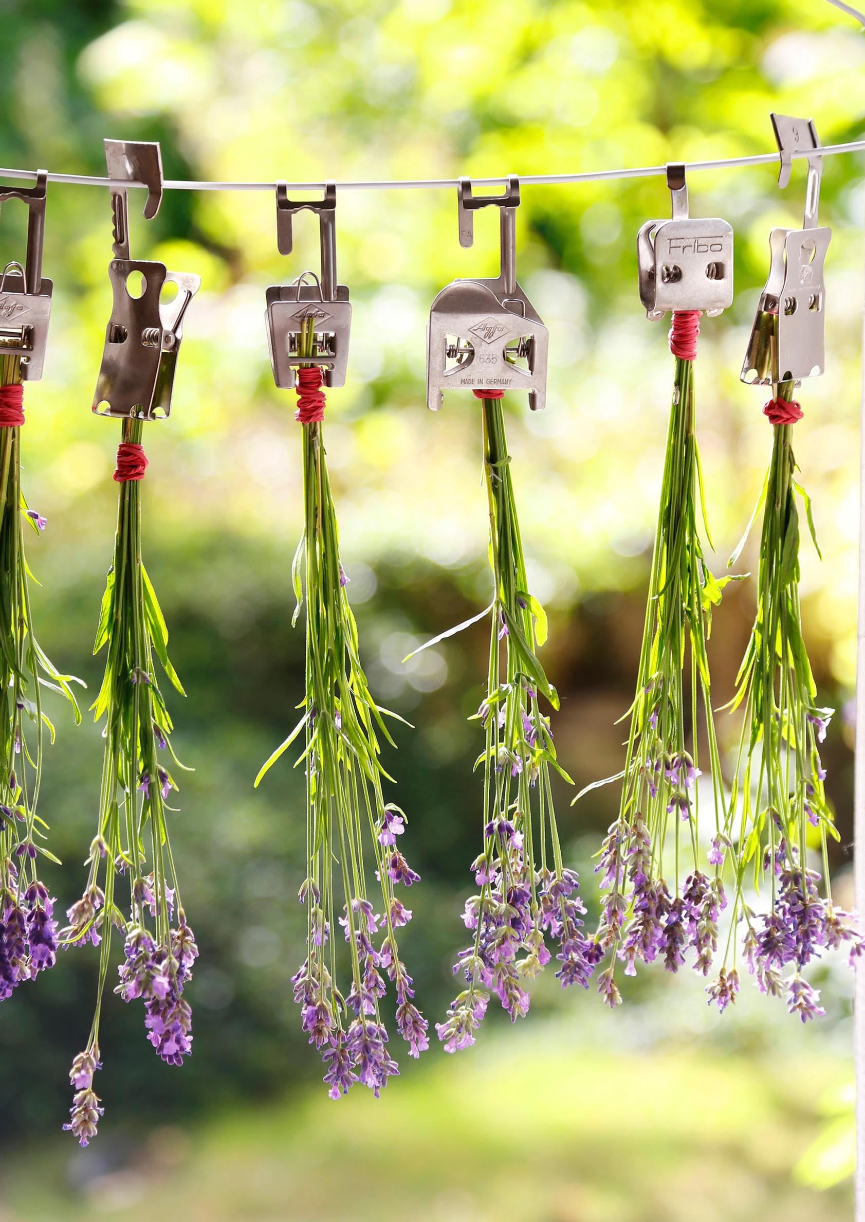 Ways to use lavender
