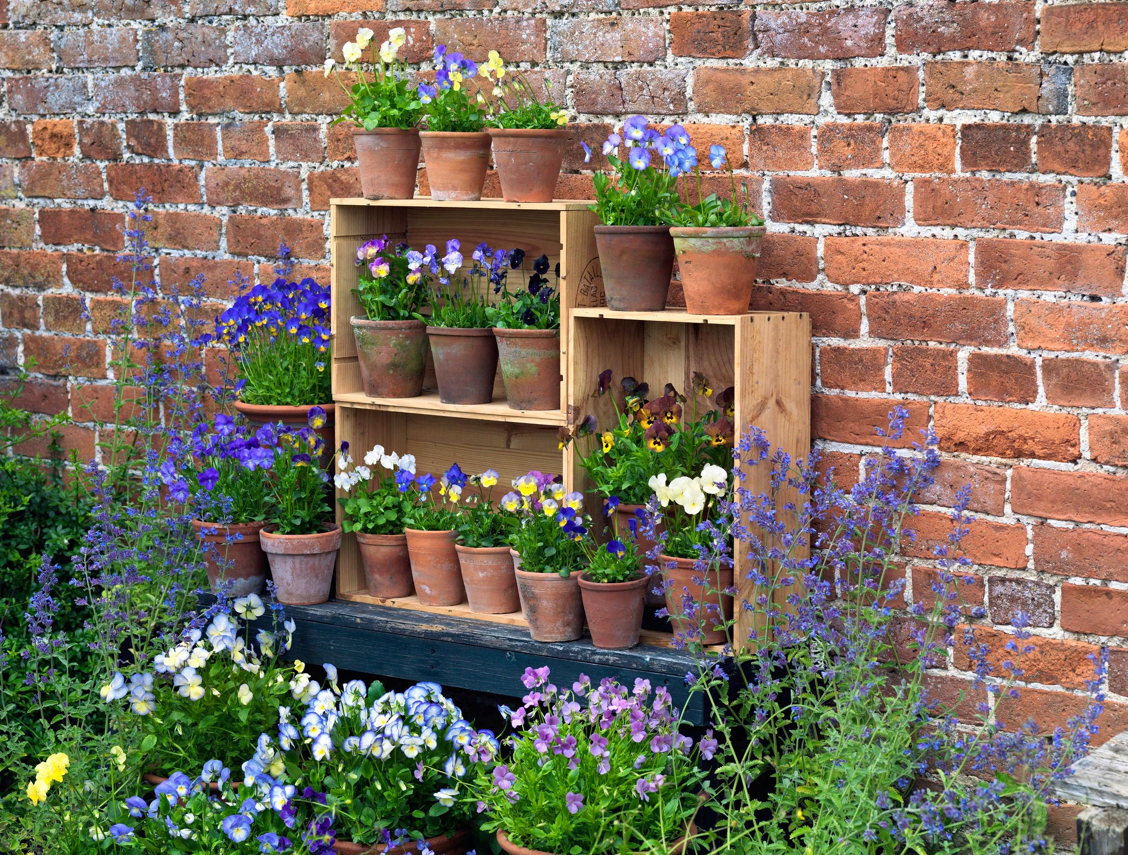 Summer flower arrangements