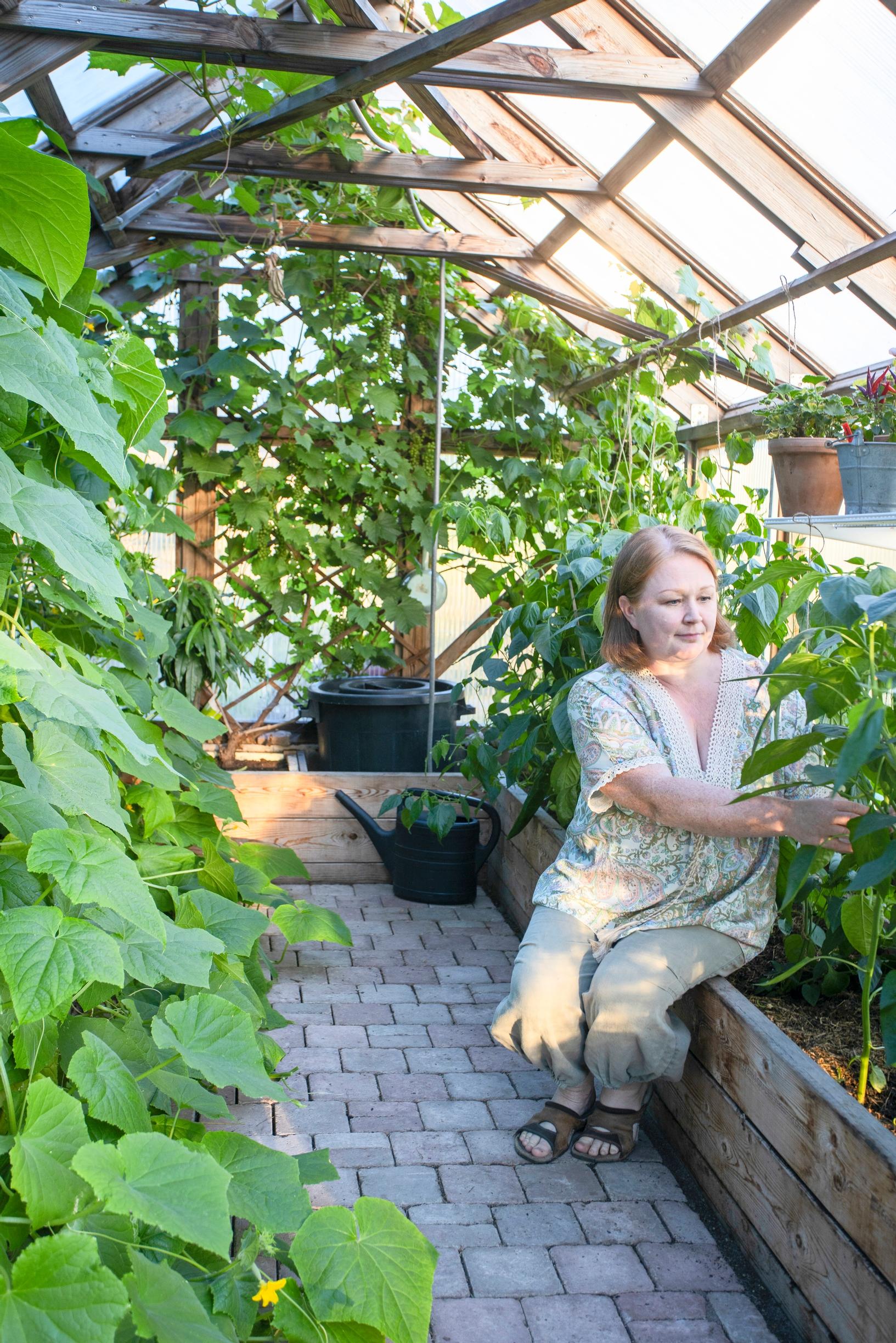 Kitchen garden: Virpi Somero in a polycarbonate greenhouse.