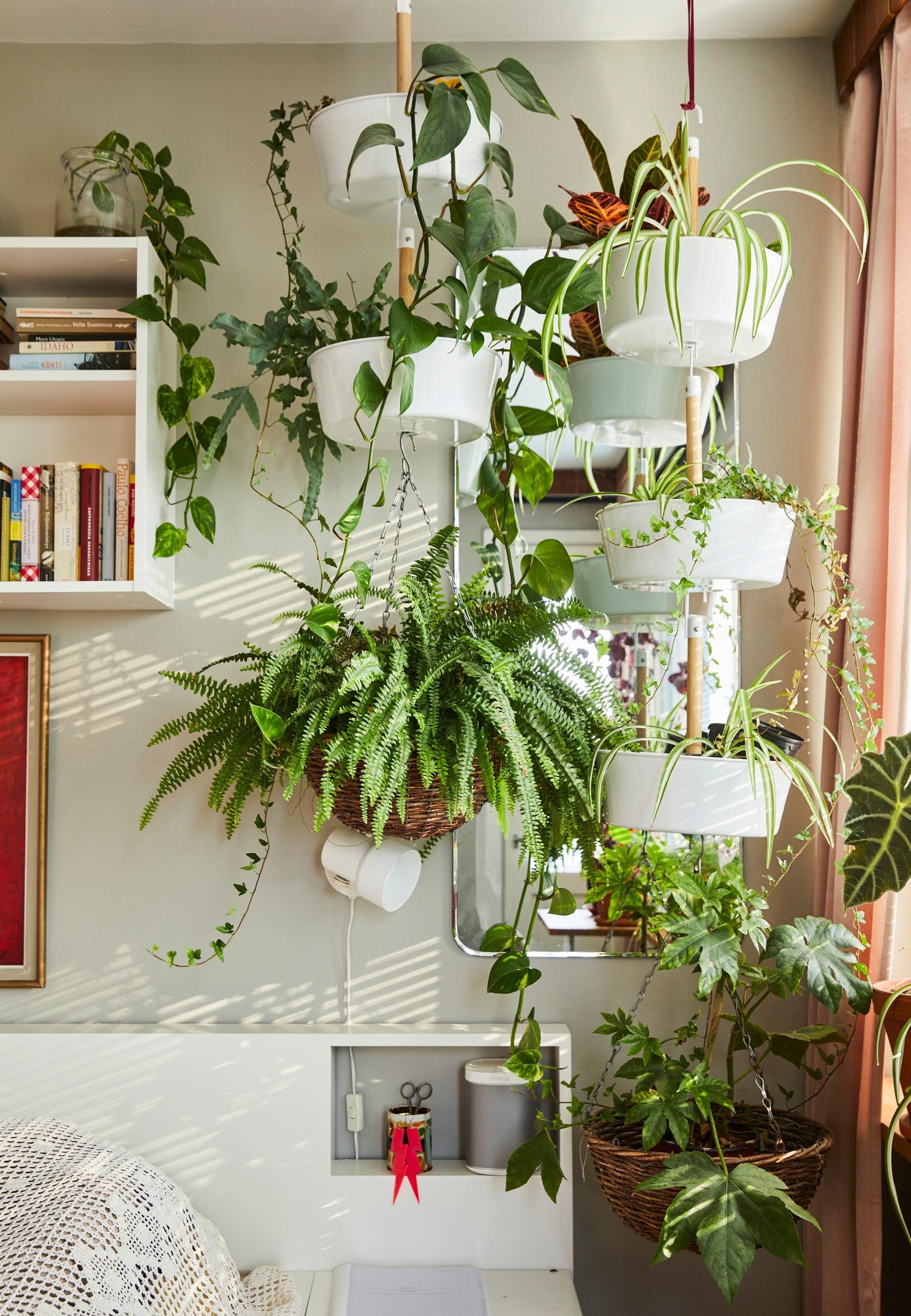houseplants decor