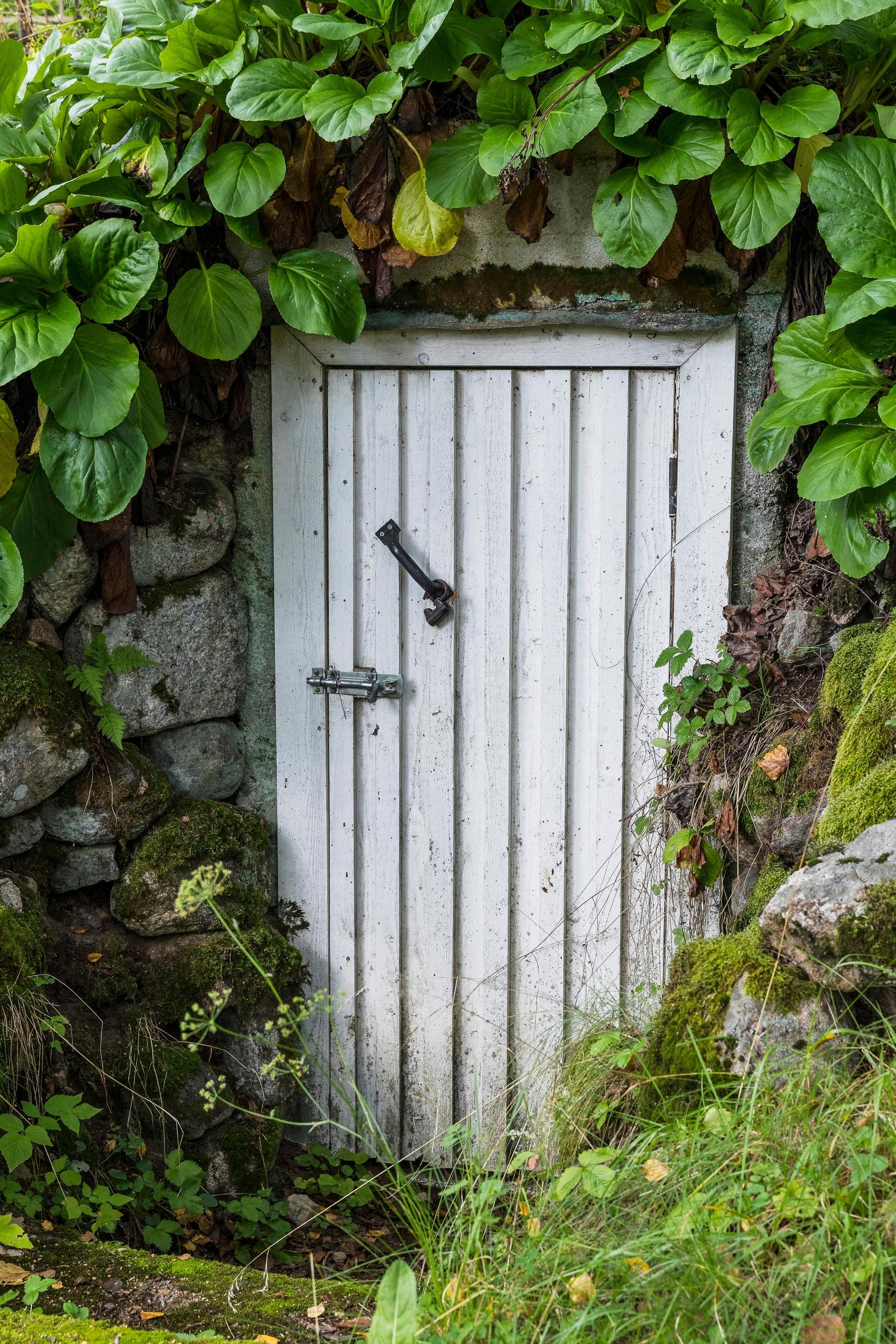 Door of a root cellar