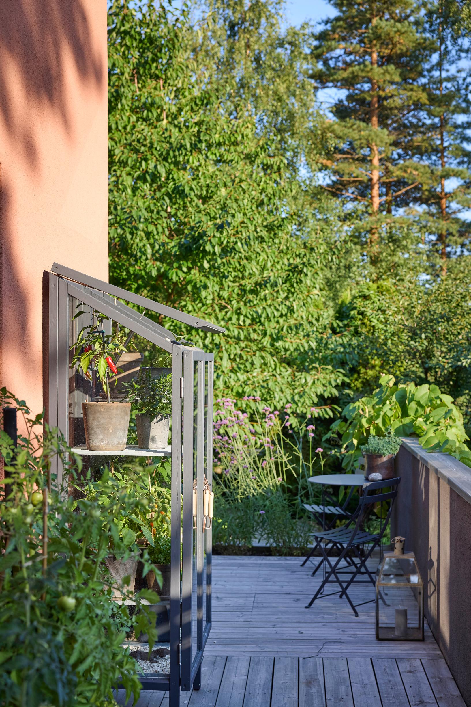 A section of the terrace, the house, and a mini greenhouse.