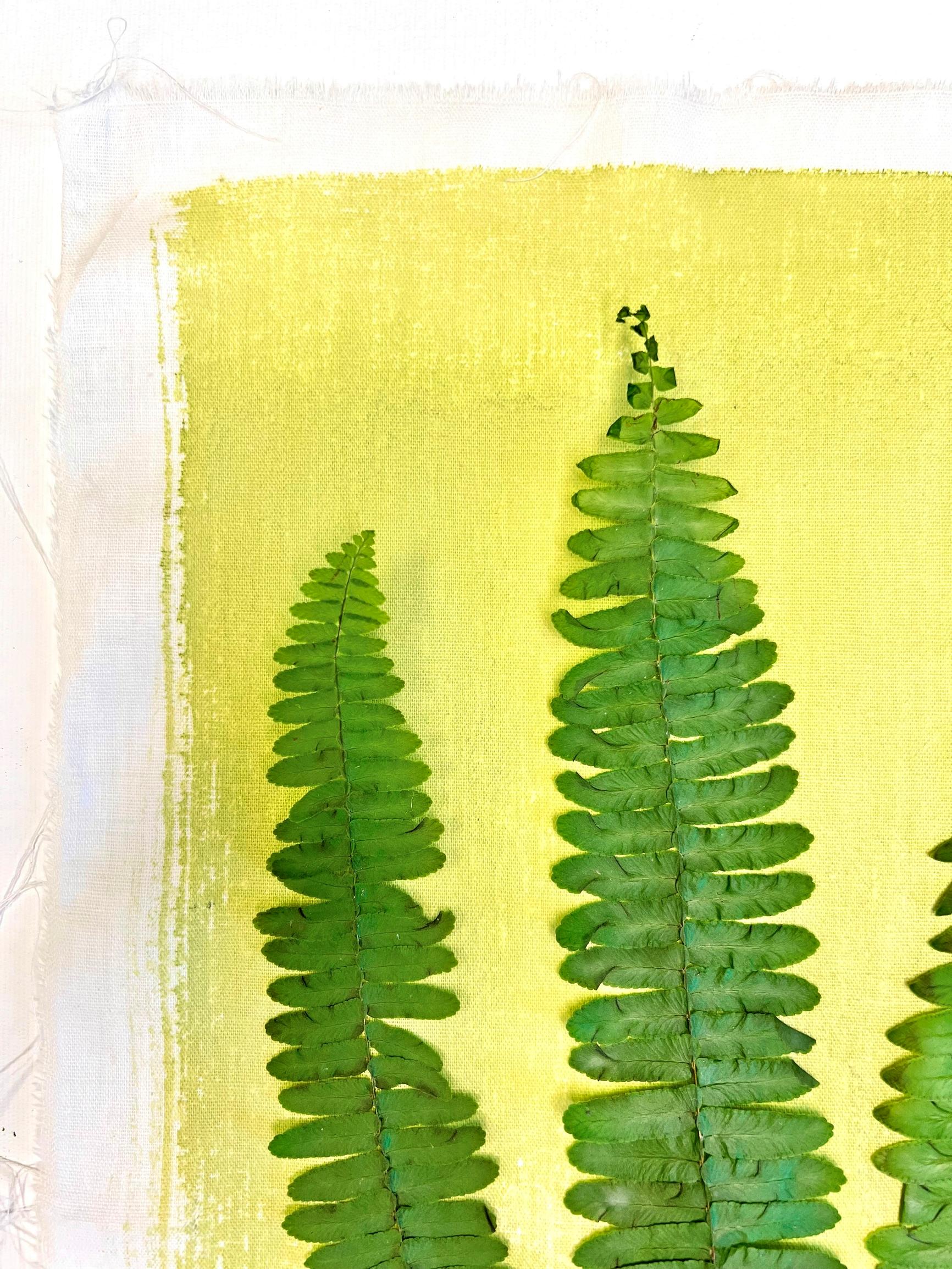 Arrange the leaves or other shapes on the sensitized fabric.