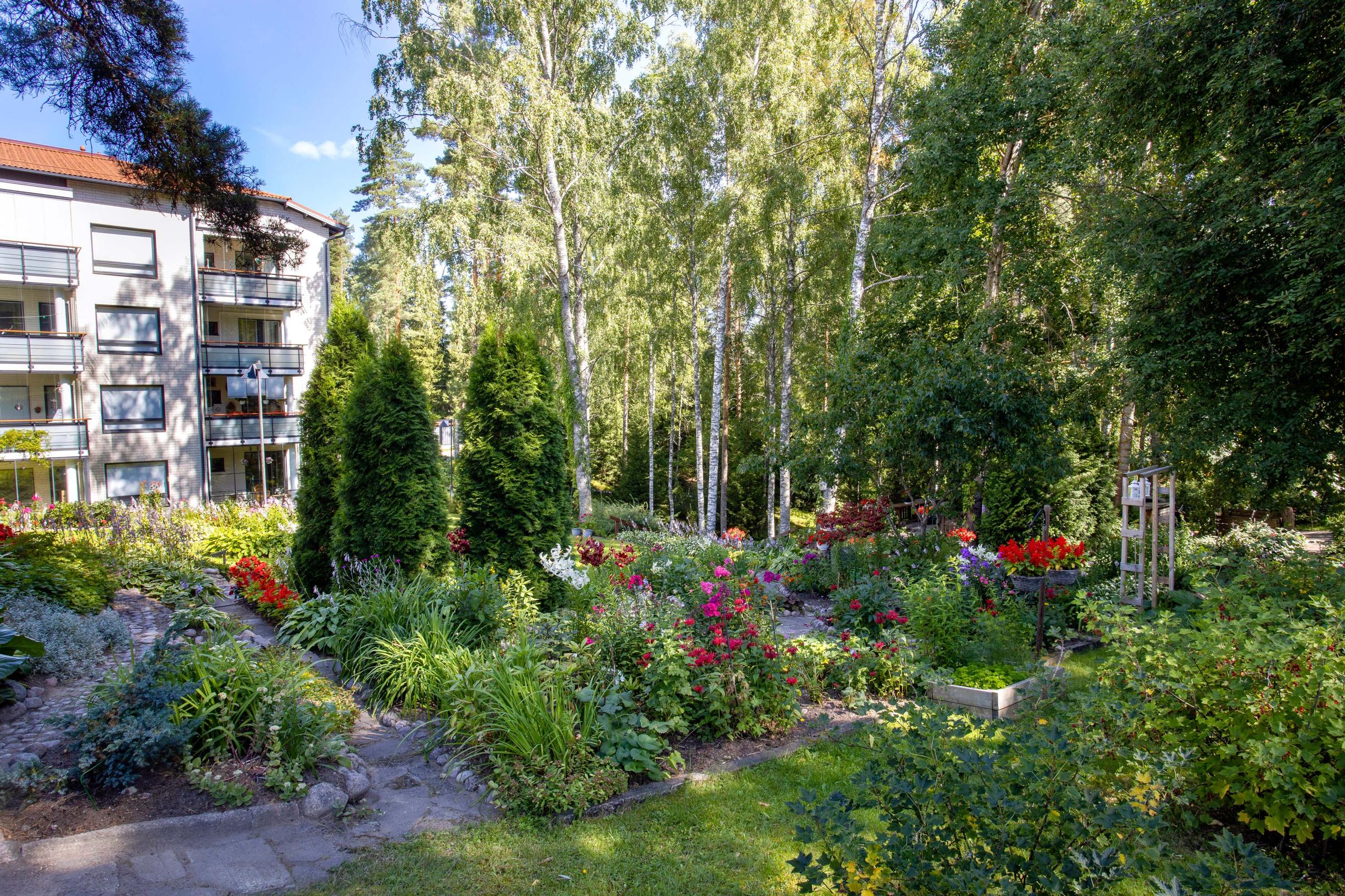 Apartment building garden