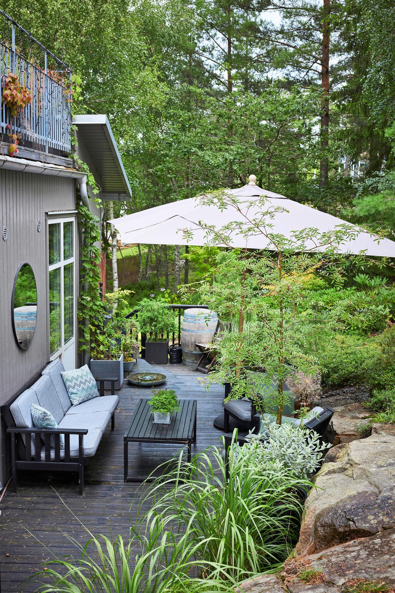 Perennial plants in containers on a terrace