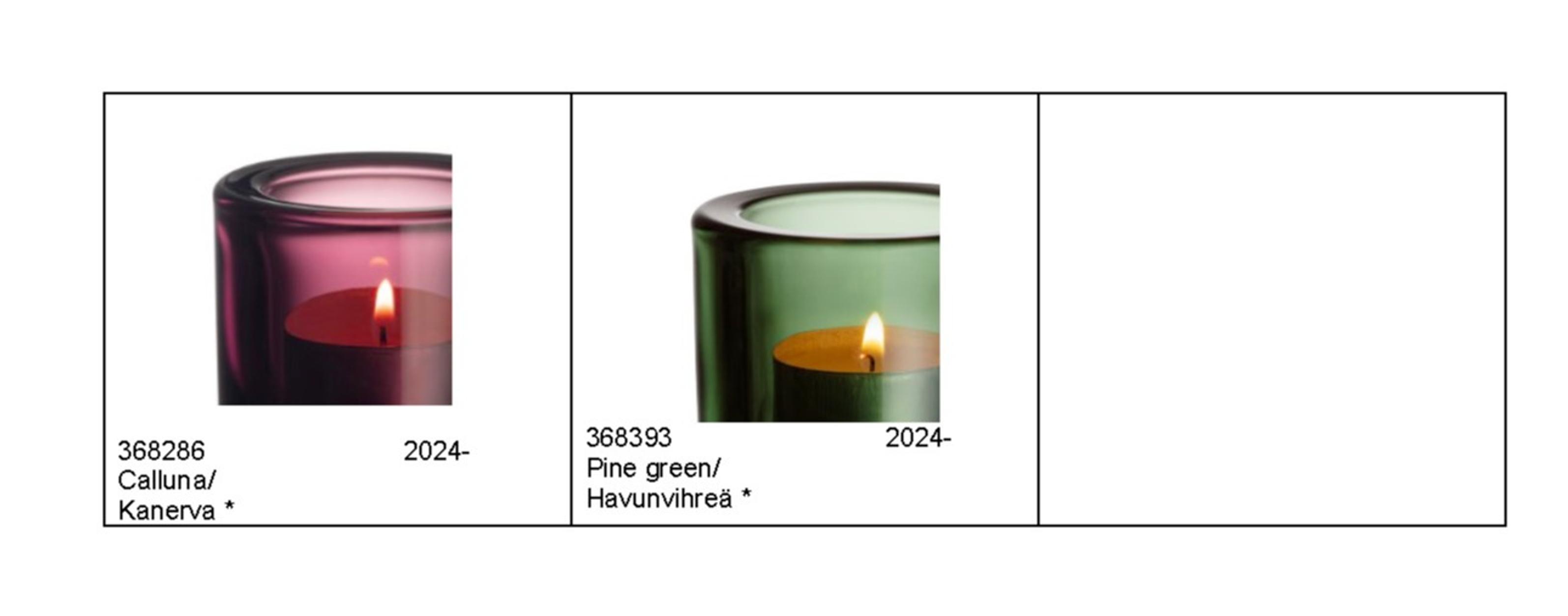 Kivi tealight colors in 2024