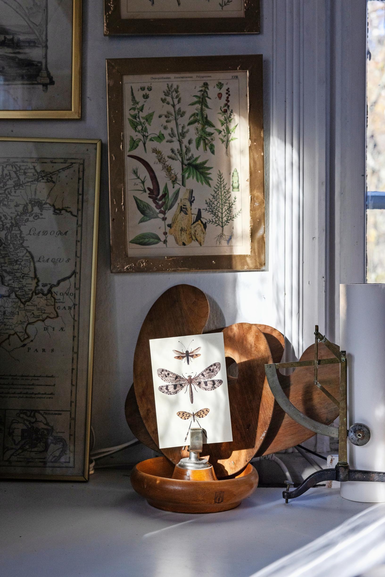 A butterfly print, a botanical print, an old map, a bowl, and other items.