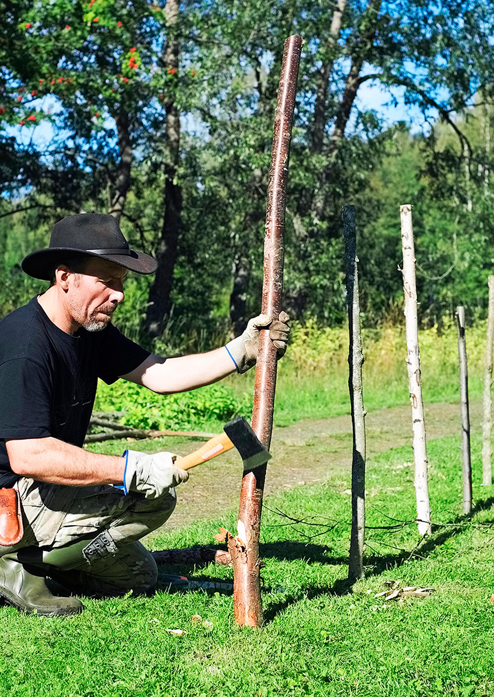 Fence posts for the brush fence