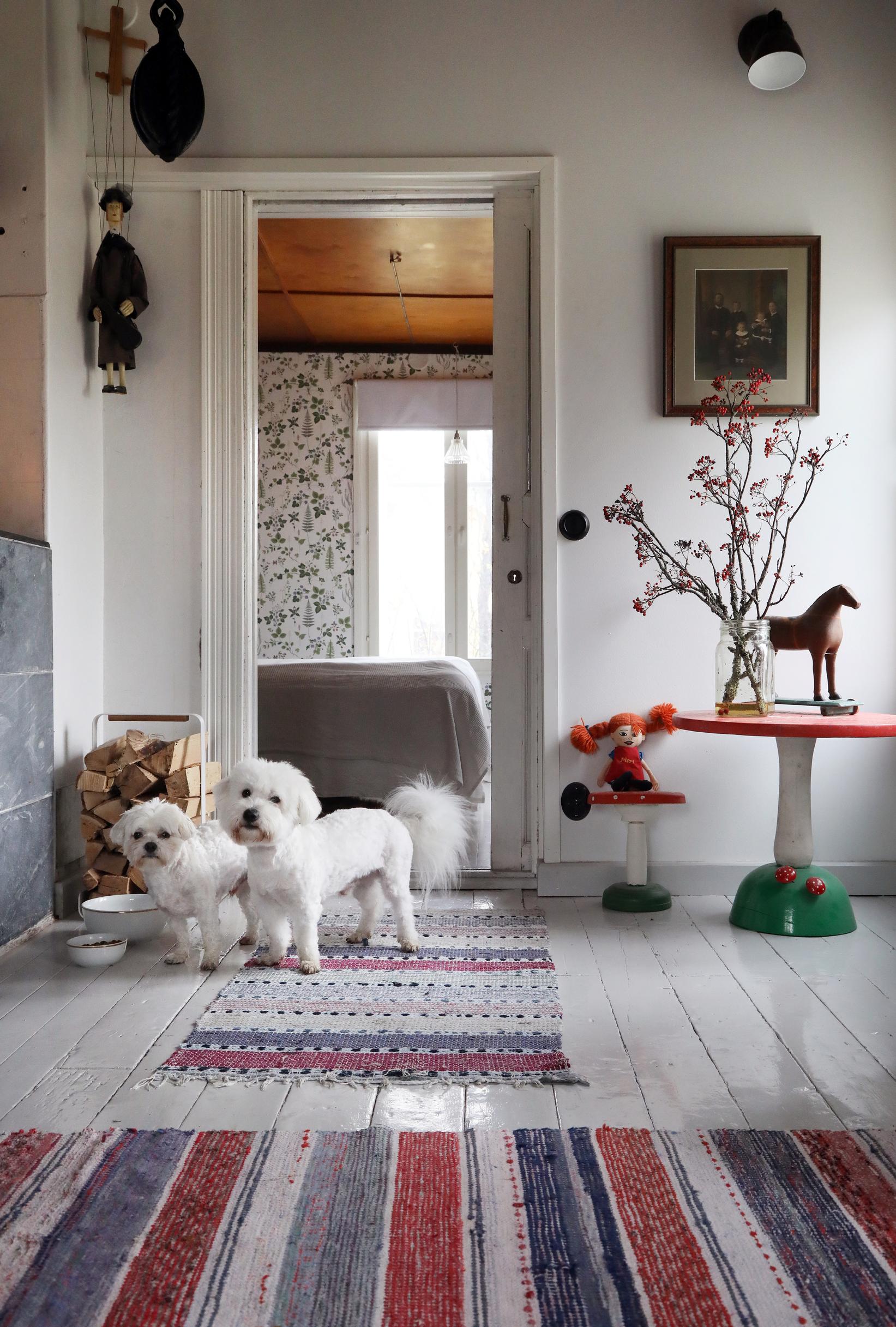 View into the living room, two white poodles, and rag rugs.