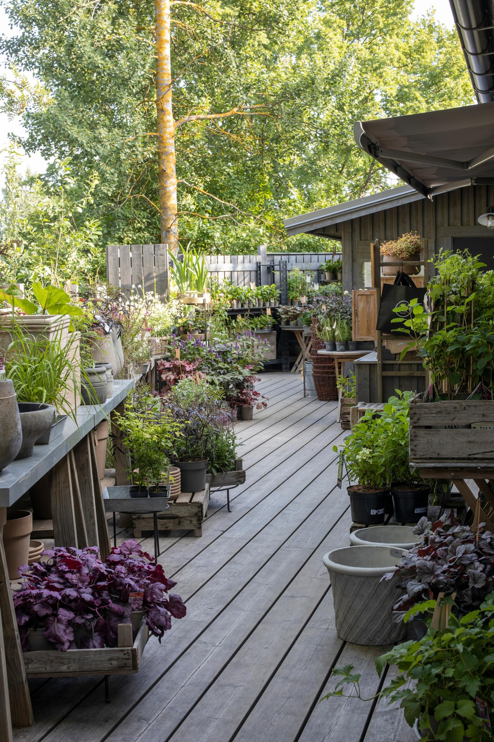 You enter the garden through a charming garden shop.