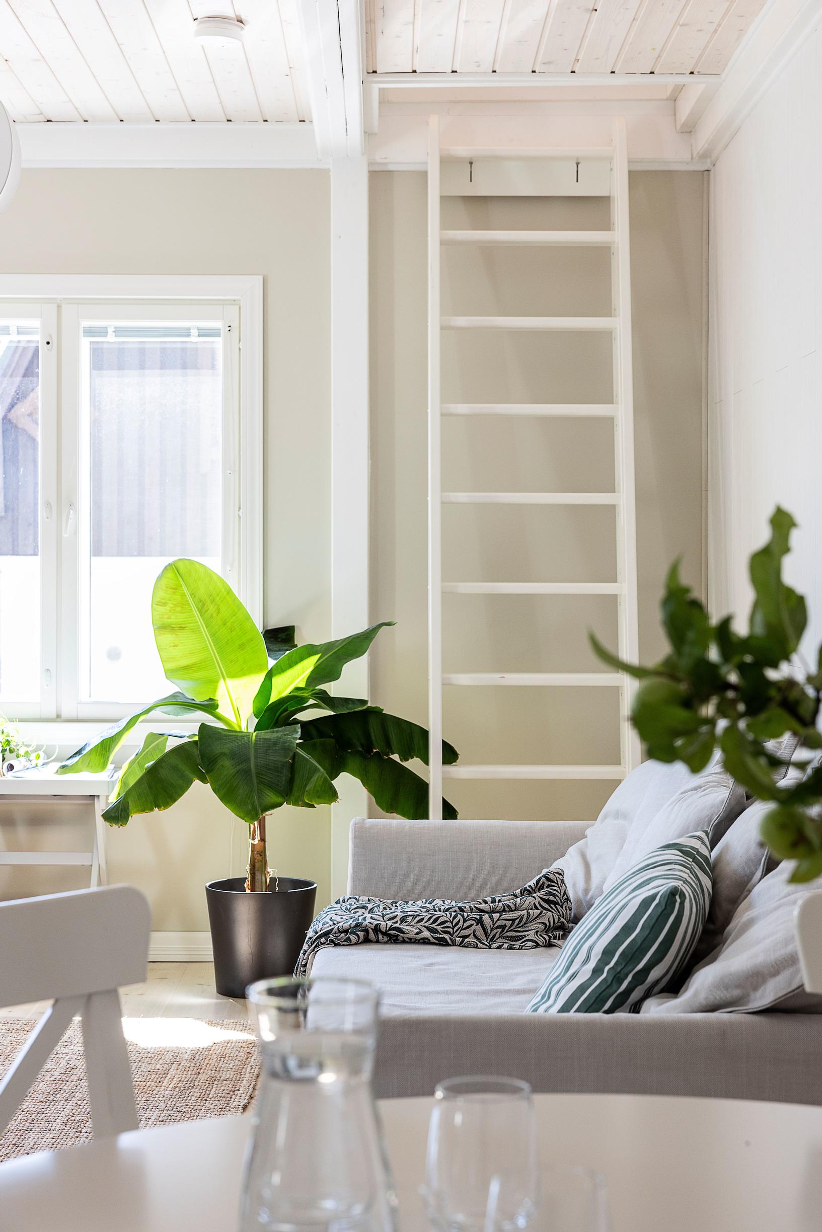 In the living room, there is a gray sleeper sofa and ladder-style steps leading to the attic