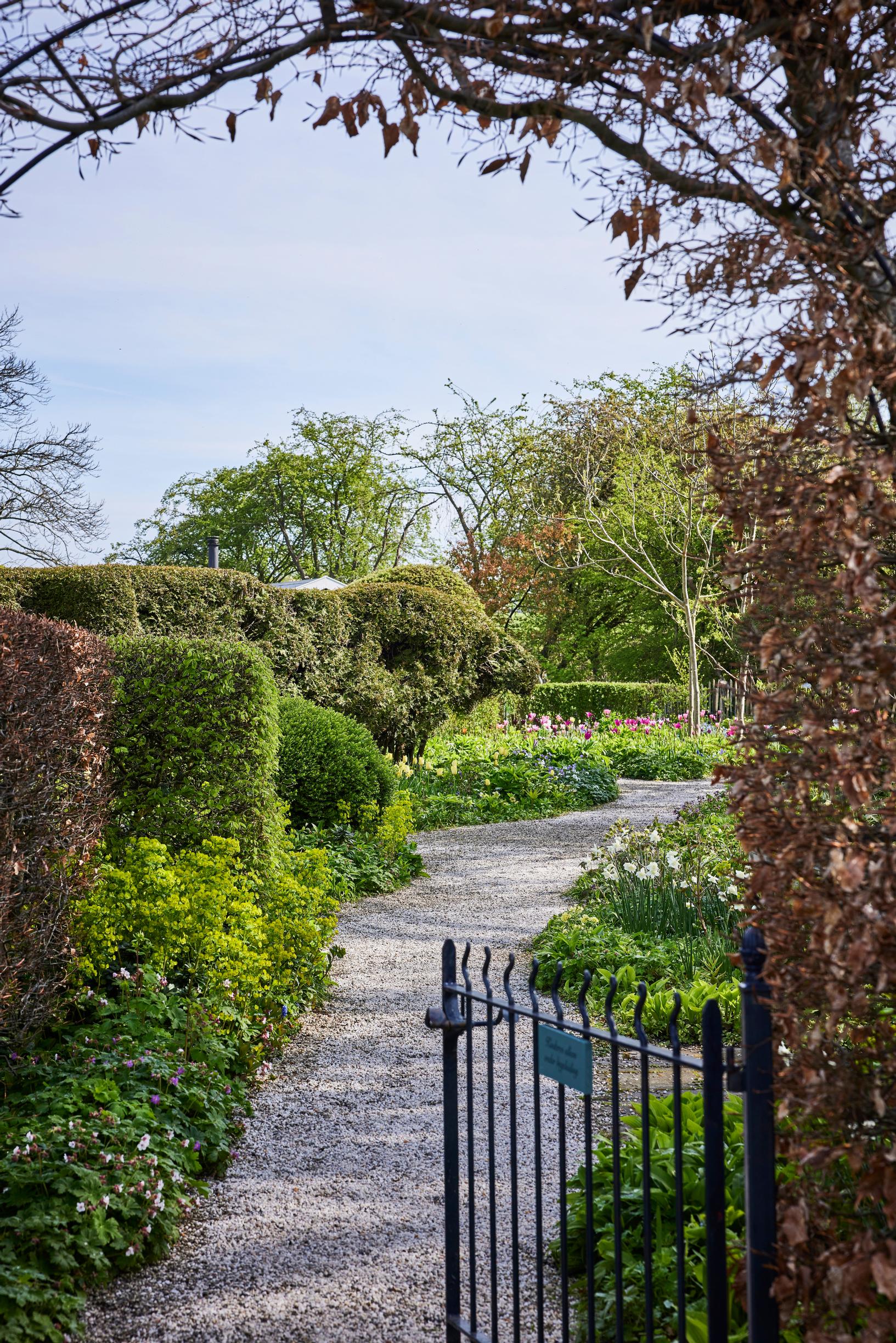 Jacqueline van der Kloet’s garden