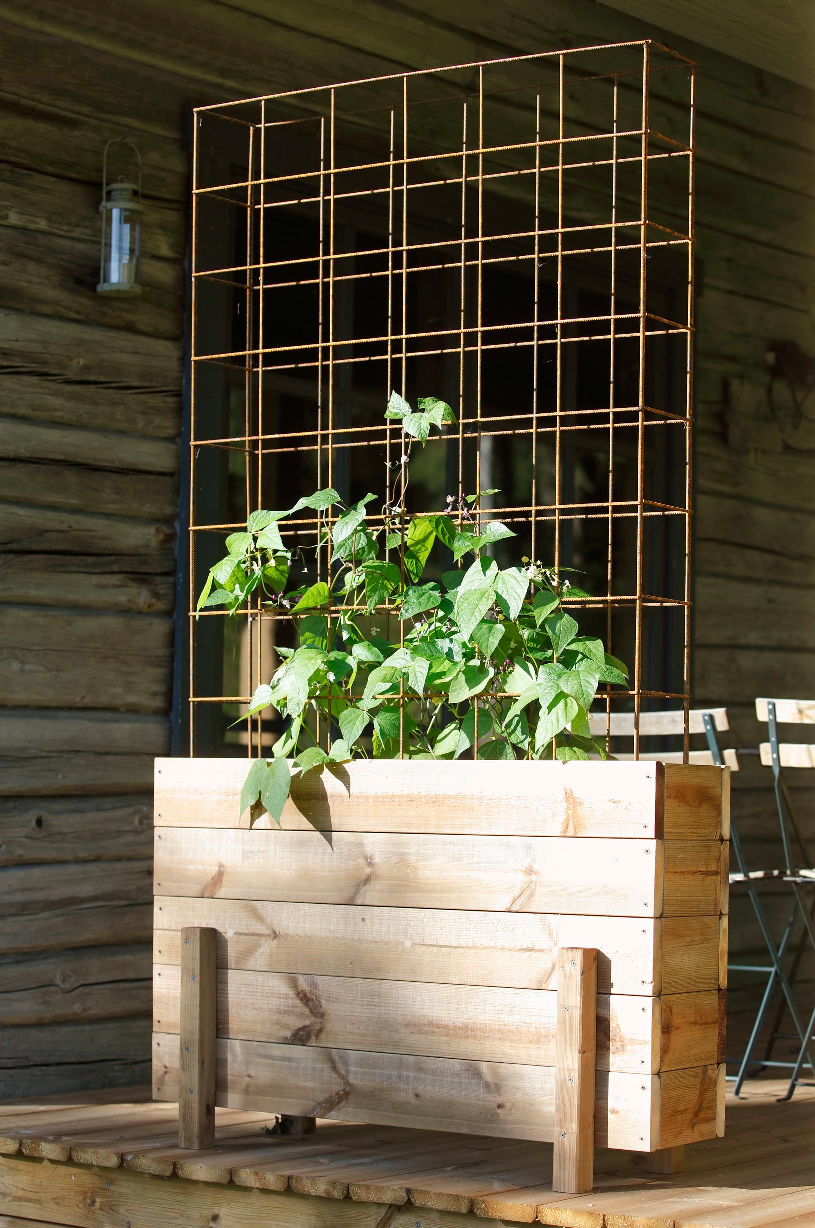 Privacy screen for the terrace: planter box with climbing trellis