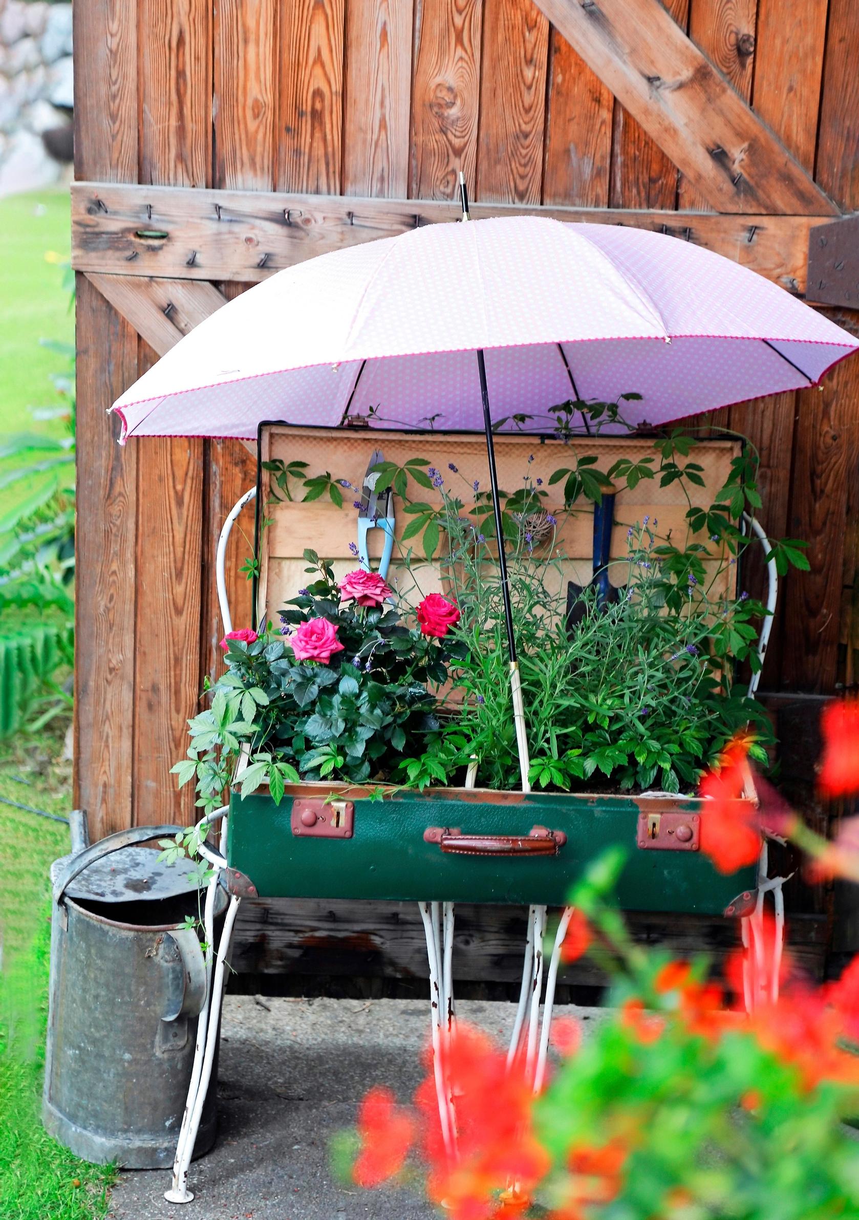 inspiration for summer flower plantings