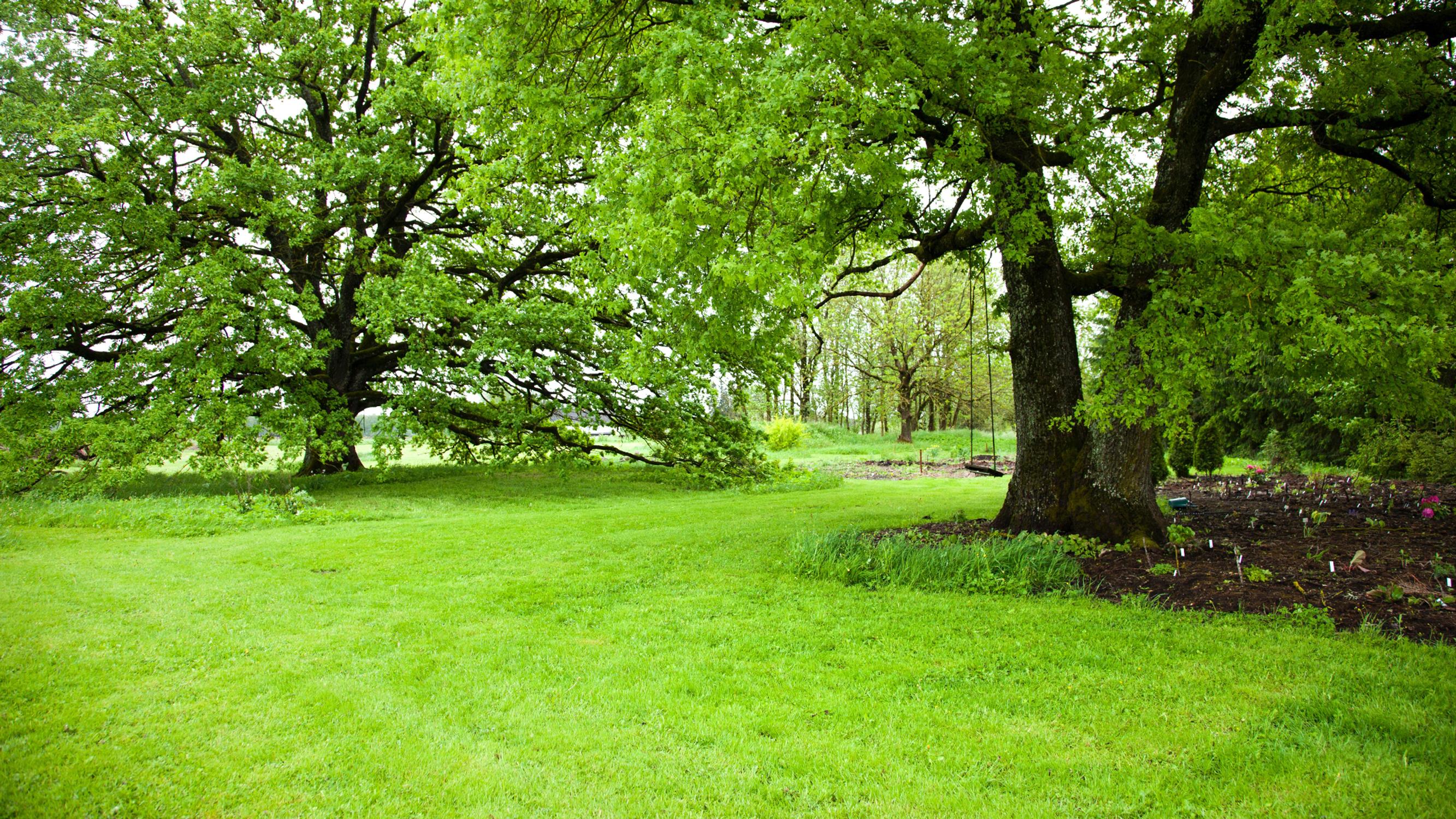 Lawn care