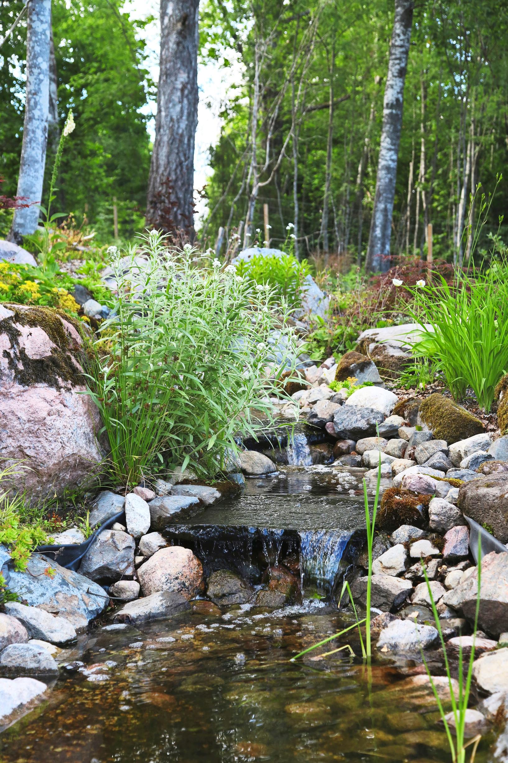 A swimming pond in the yard of a single-family home