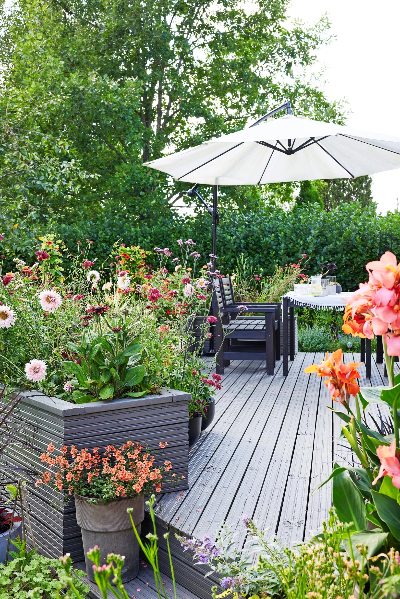 A blooming terrace