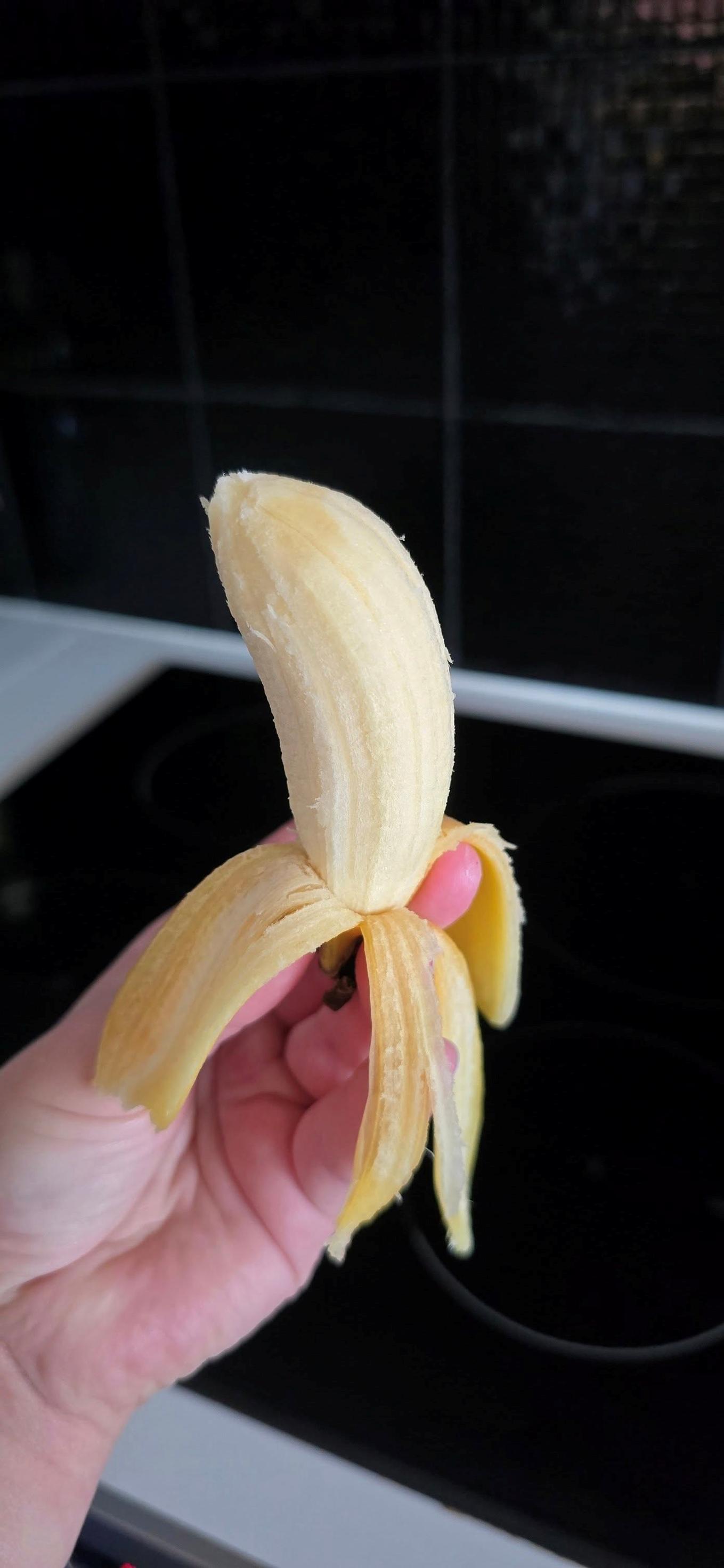 Banana houseplant that produced fruit