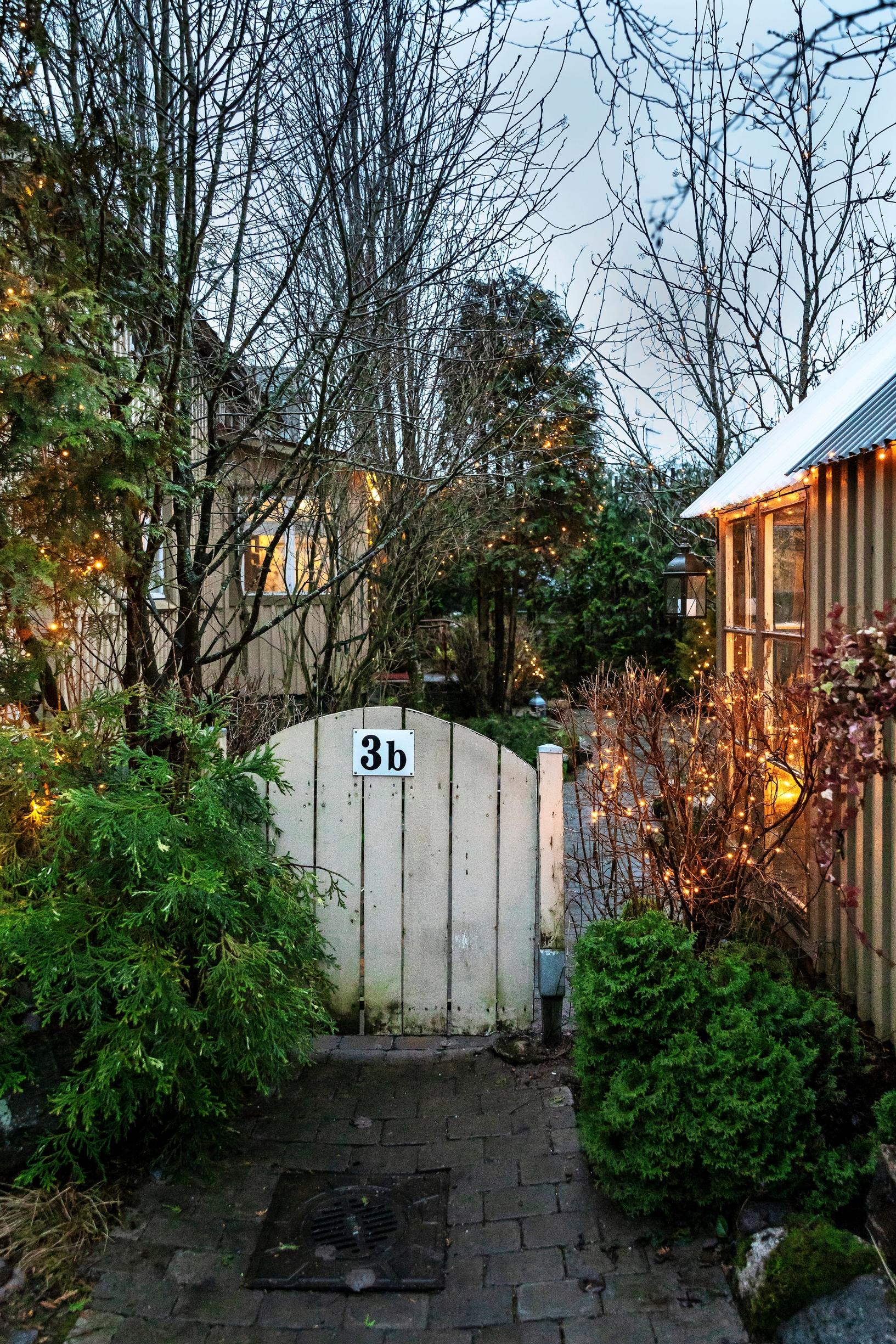 A wooden yard gate in an autumnal garden.