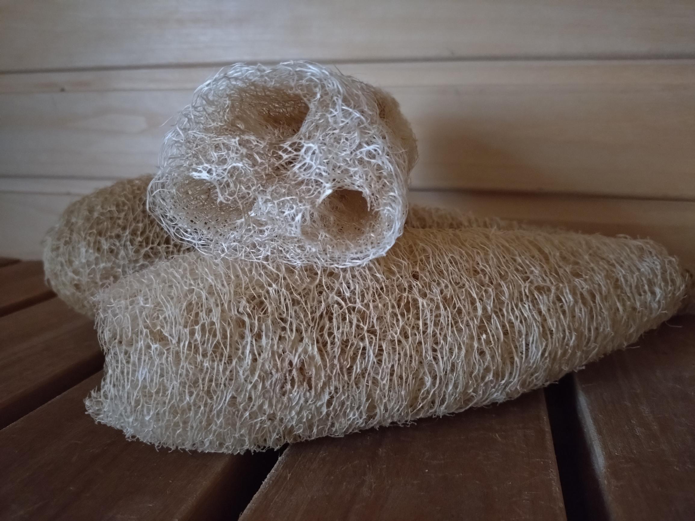 Loofah gourd or luffa