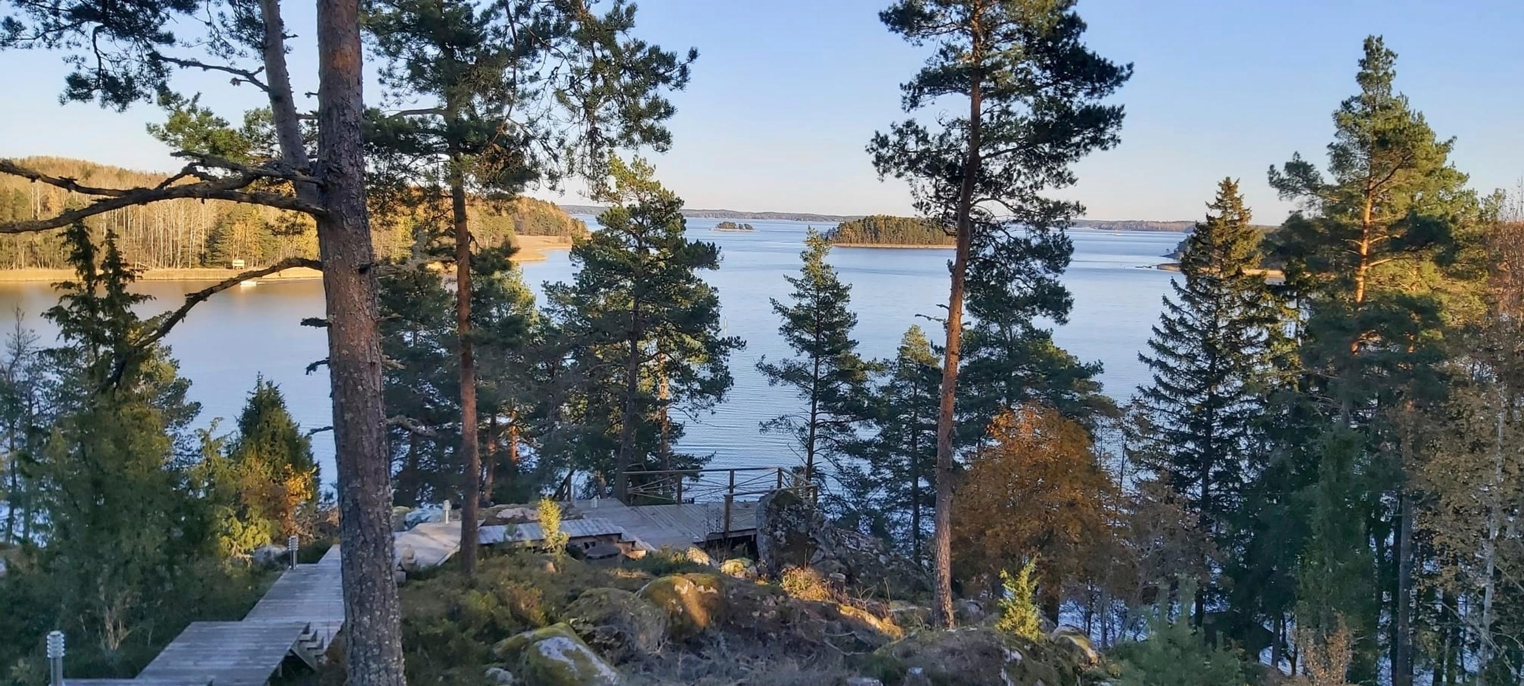 A view from above towards the sea, with pine trees and a path leading to a landing